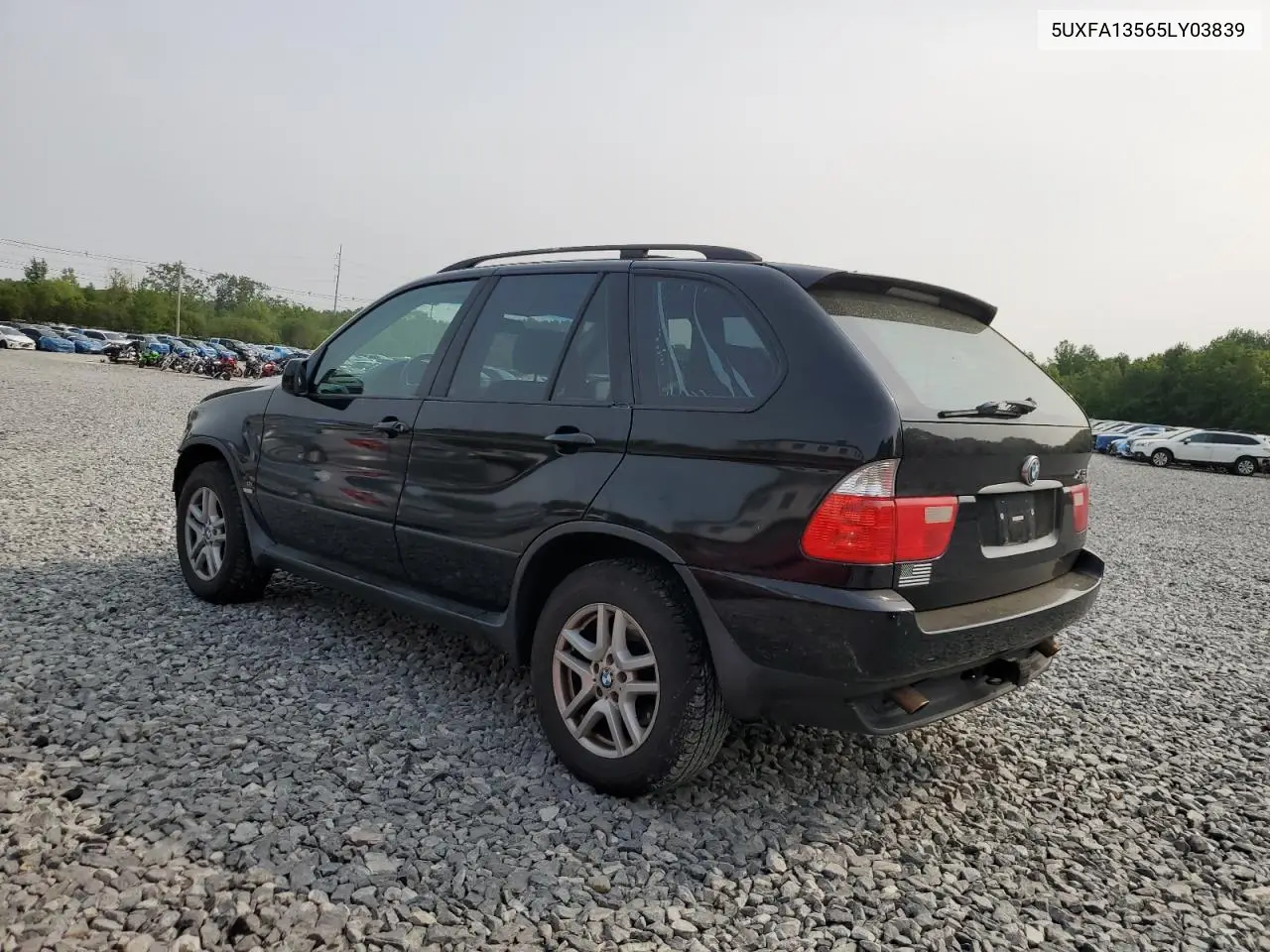 2005 BMW X5 3.0I VIN: 5UXFA13565LY03839 Lot: 59556585