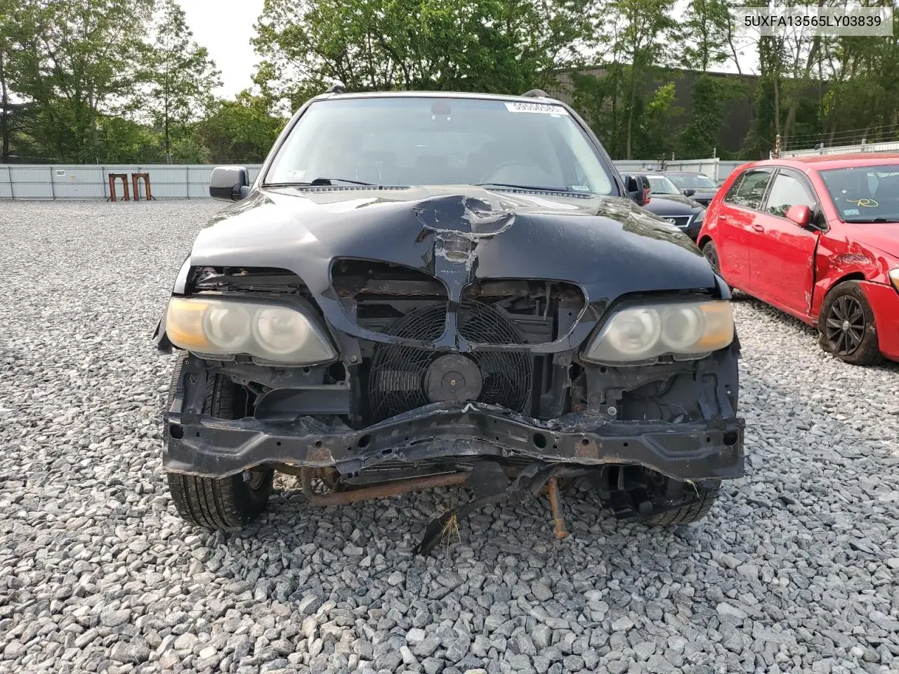 2005 BMW X5 3.0I VIN: 5UXFA13565LY03839 Lot: 59556585