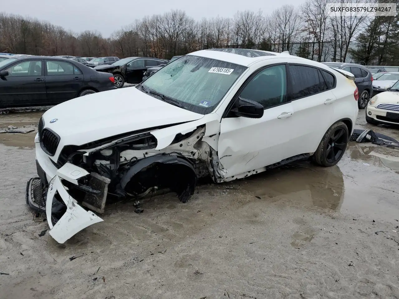 2009 BMW X6 VIN: 5UXFG83579LZ94247 Lot: 47985185