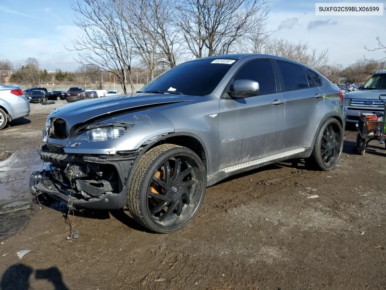 2011 BMW X6 xDrive35I VIN: 5UXFG2C59BLX06599 Lot: 45248265
