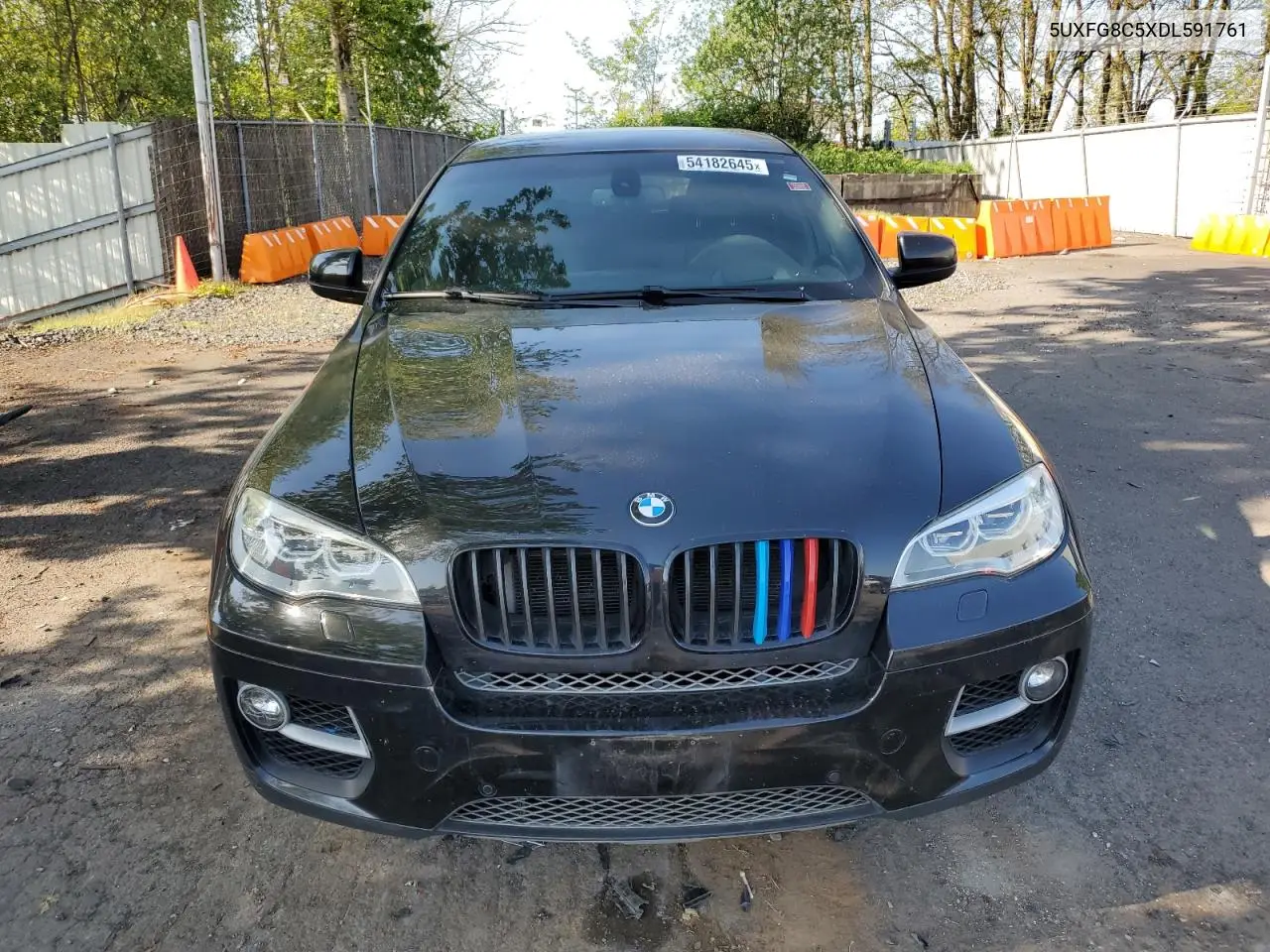 2013 BMW X6 xDrive50I VIN: 5UXFG8C5XDL591761 Lot: 54182645