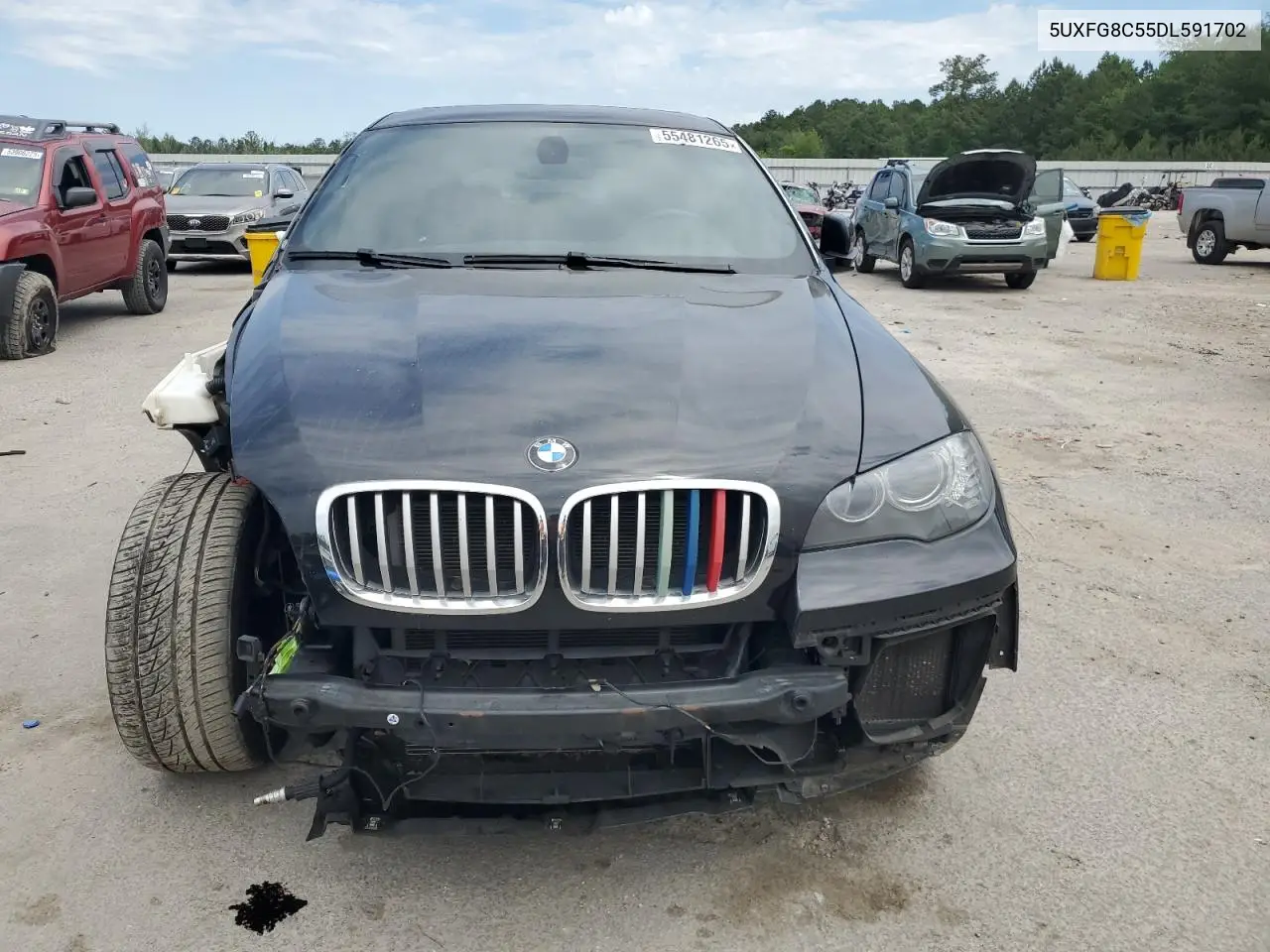 2013 BMW X6 xDrive50I VIN: 5UXFG8C55DL591702 Lot: 55481265