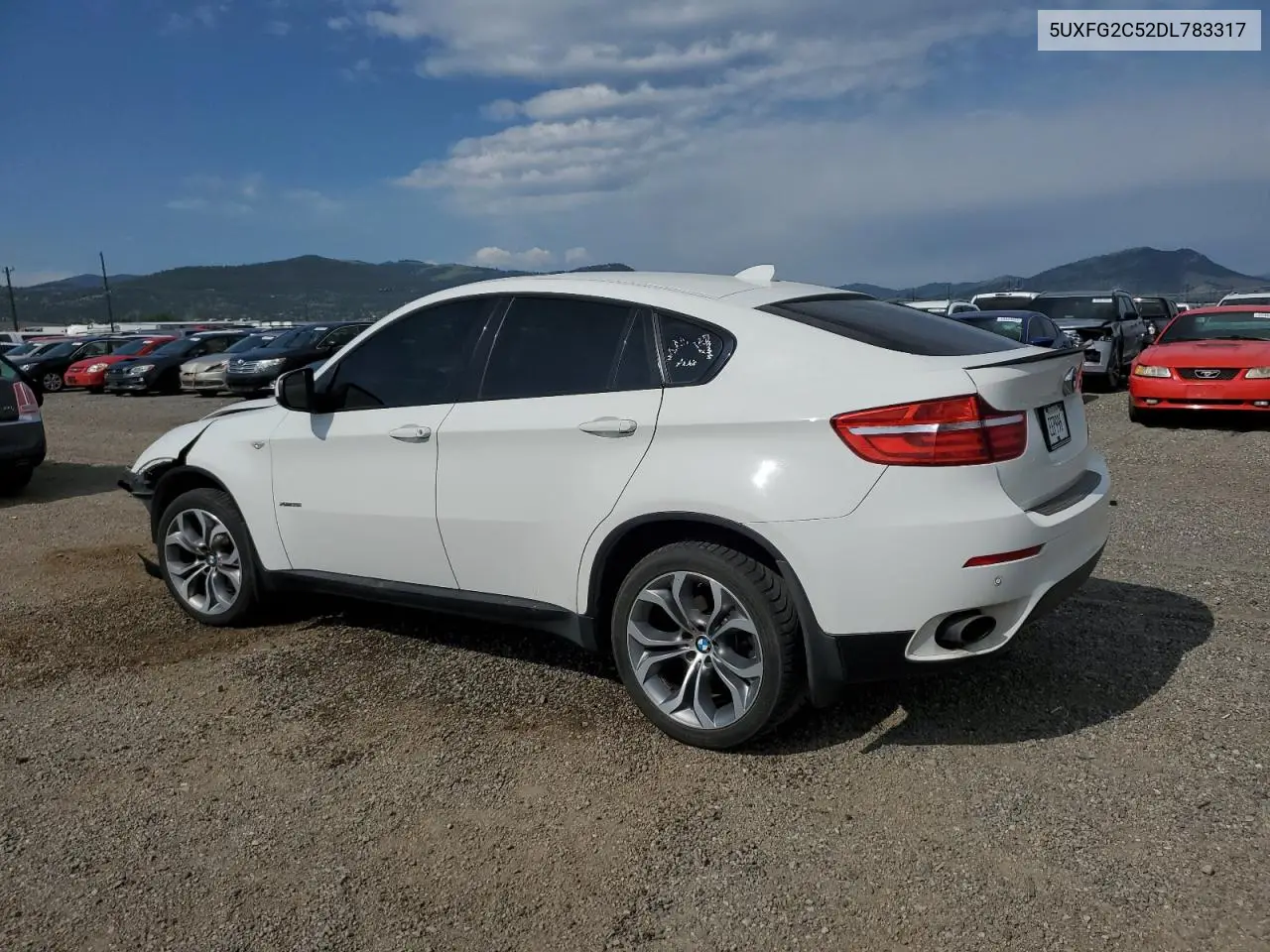 2013 BMW X6 xDrive35I VIN: 5UXFG2C52DL783317 Lot: 60334615