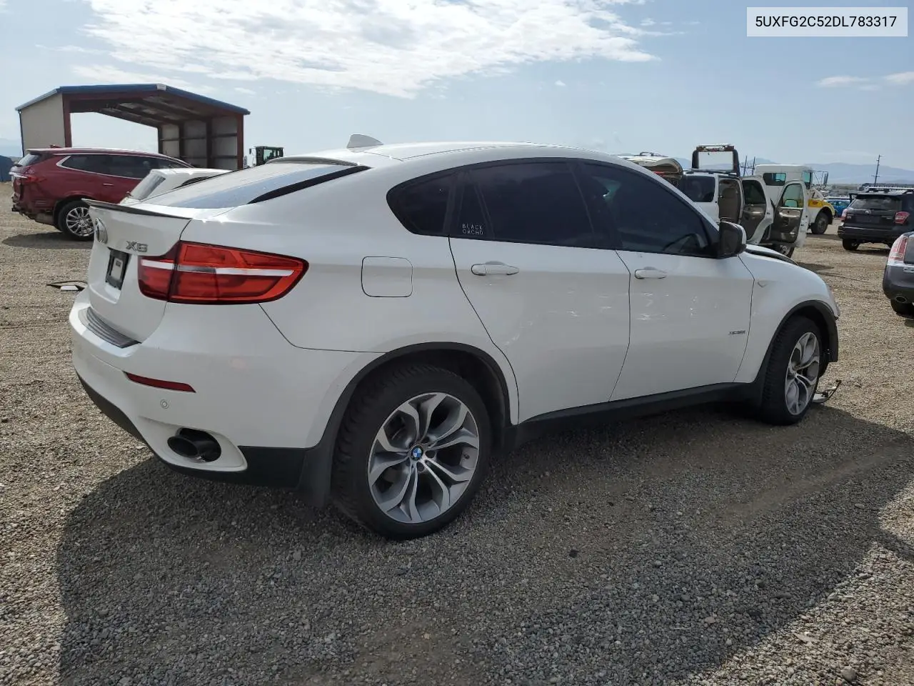 2013 BMW X6 xDrive35I VIN: 5UXFG2C52DL783317 Lot: 60334615