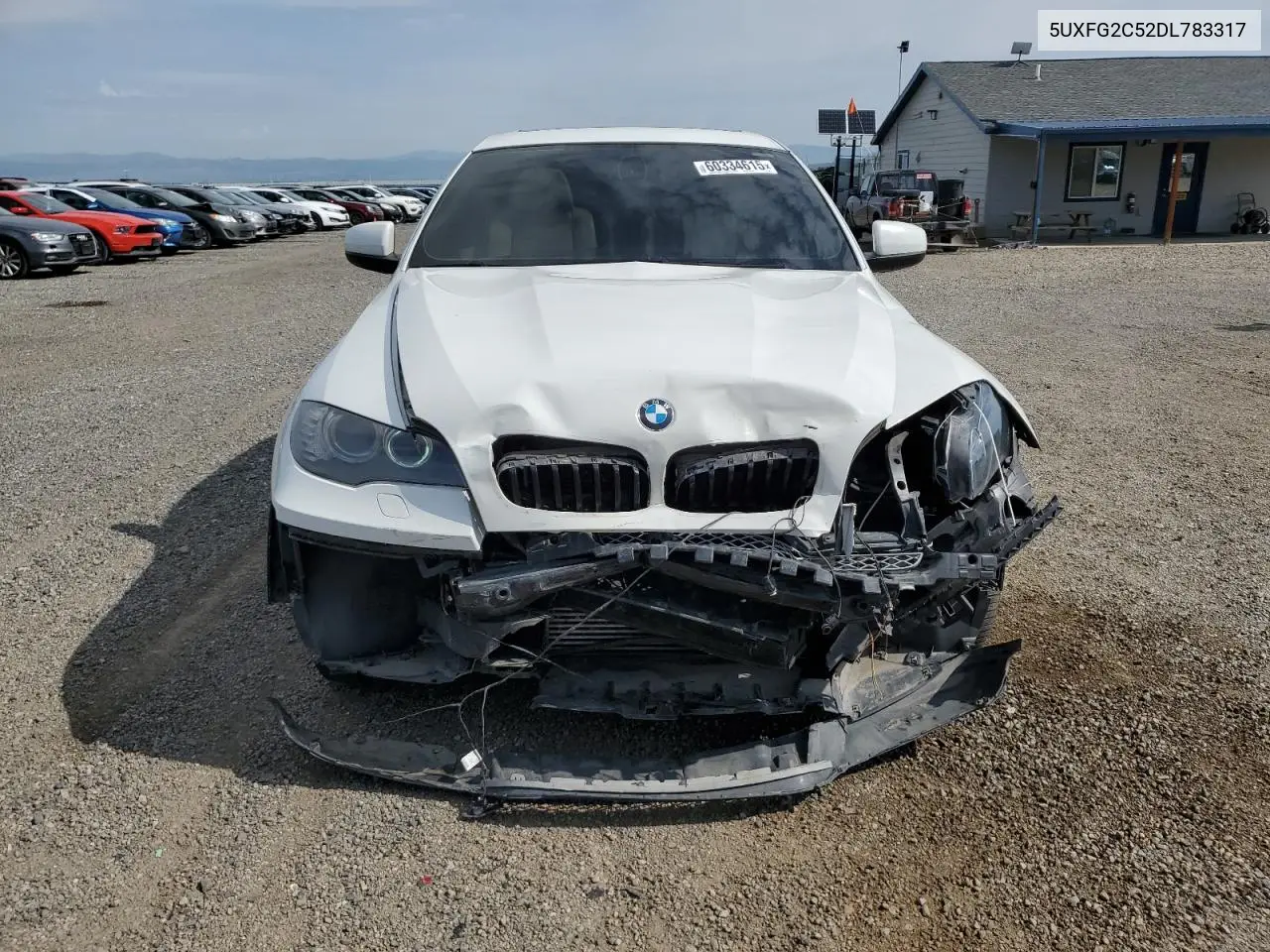2013 BMW X6 xDrive35I VIN: 5UXFG2C52DL783317 Lot: 60334615