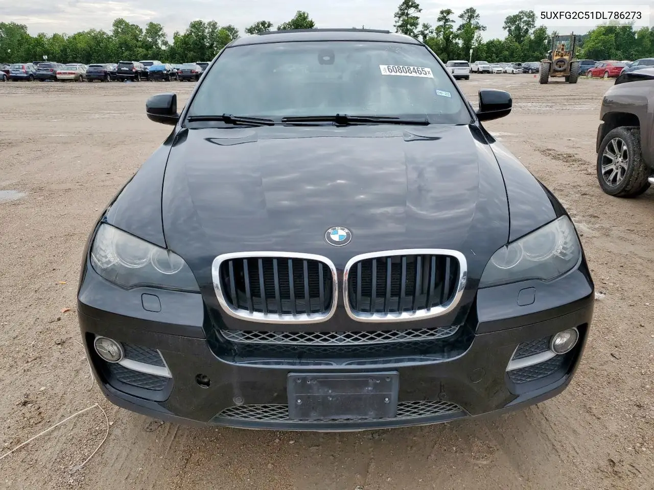 2013 BMW X6 xDrive35I VIN: 5UXFG2C51DL786273 Lot: 60808465