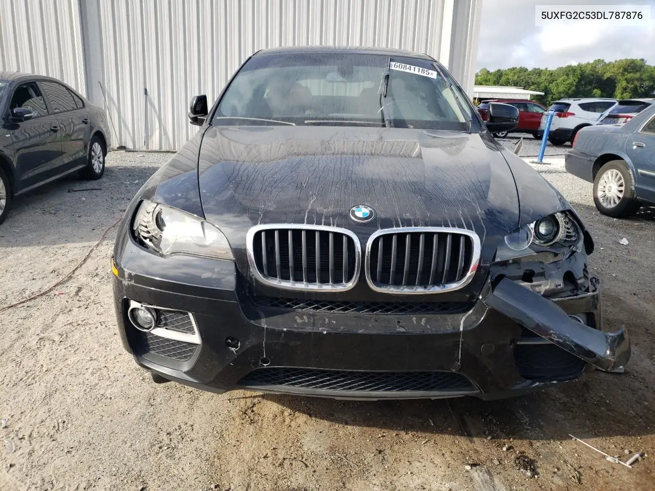 2013 BMW X6 xDrive35I VIN: 5UXFG2C53DL787876 Lot: 60841185