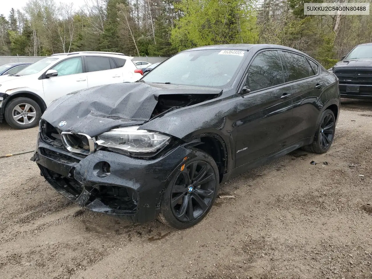 2016 BMW X6 xDrive35I VIN: 5UXKU2C54G0N80488 Lot: 55364935