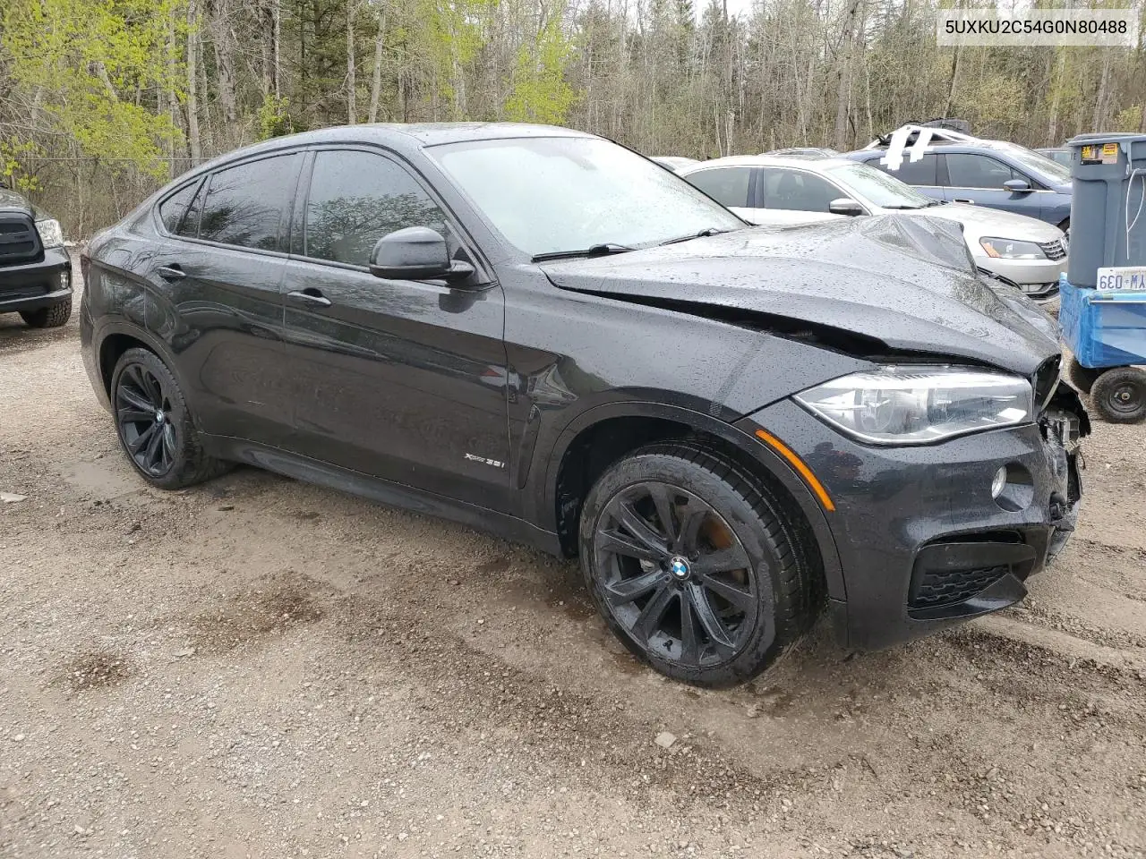2016 BMW X6 xDrive35I VIN: 5UXKU2C54G0N80488 Lot: 55364935