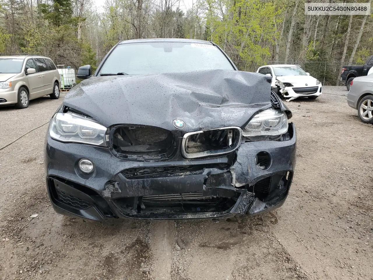2016 BMW X6 xDrive35I VIN: 5UXKU2C54G0N80488 Lot: 55364935