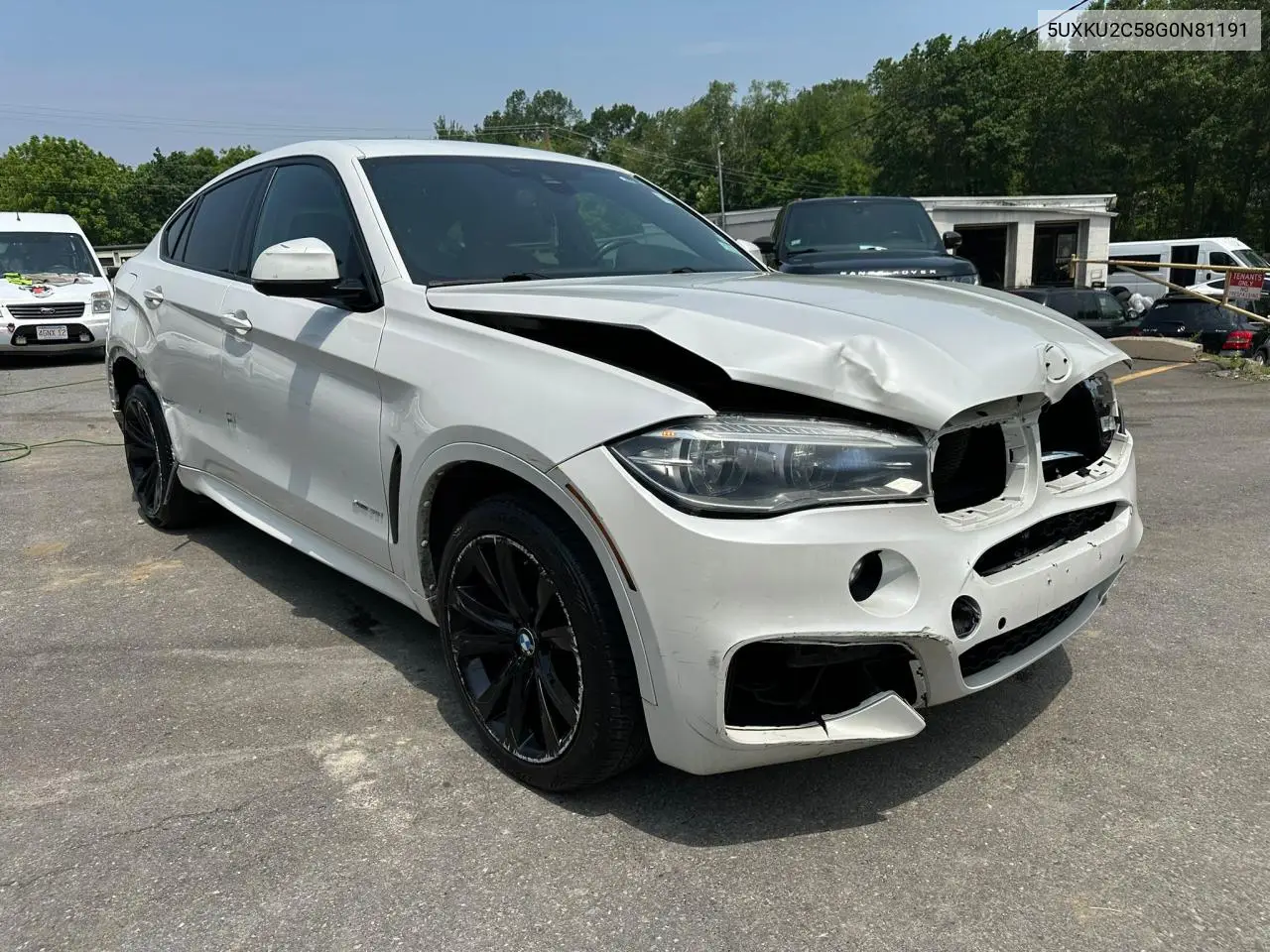 2016 BMW X6 xDrive35I VIN: 5UXKU2C58G0N81191 Lot: 61031345