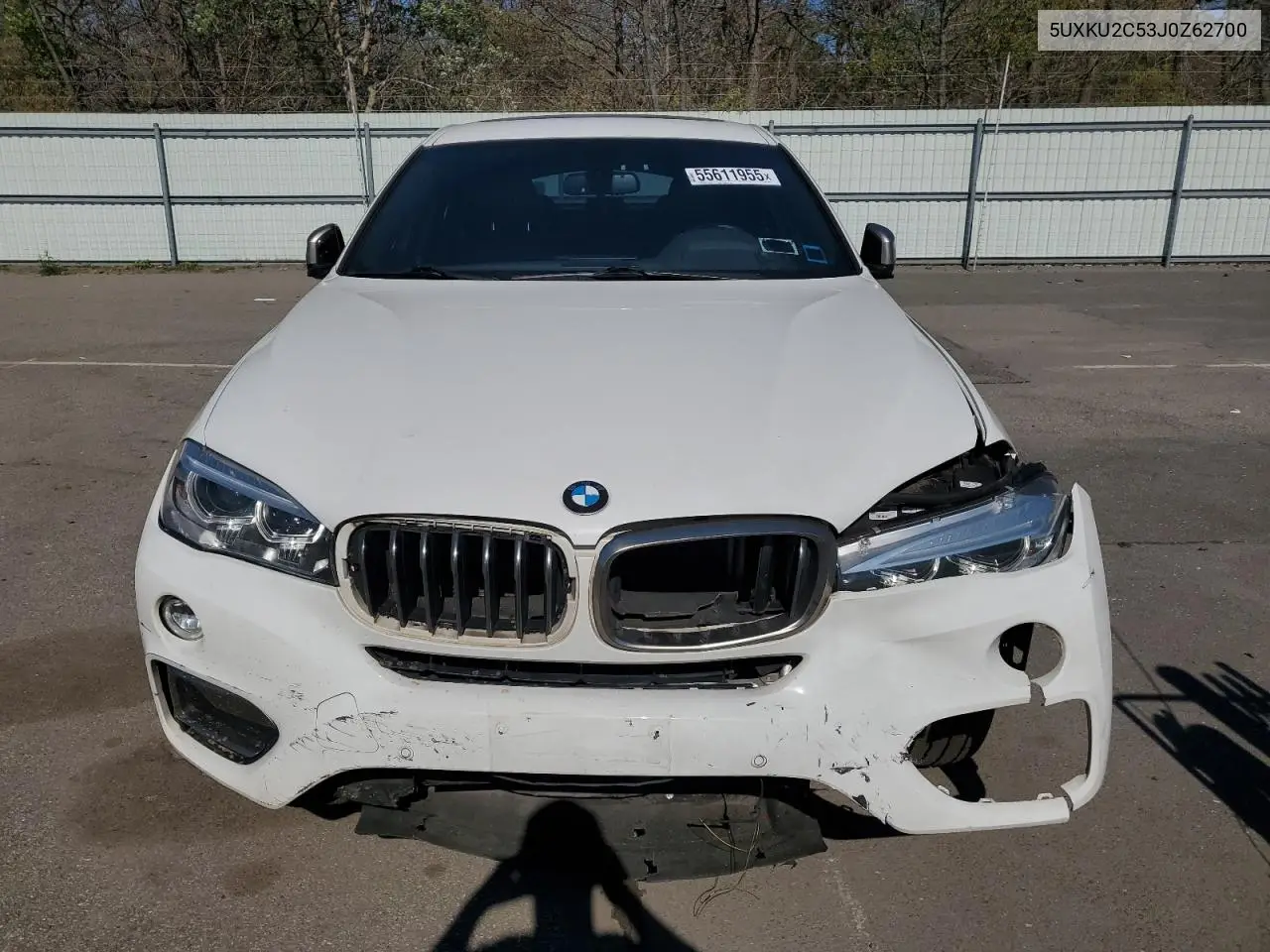 2018 BMW X6 xDrive35I VIN: 5UXKU2C53J0Z62700 Lot: 55611955