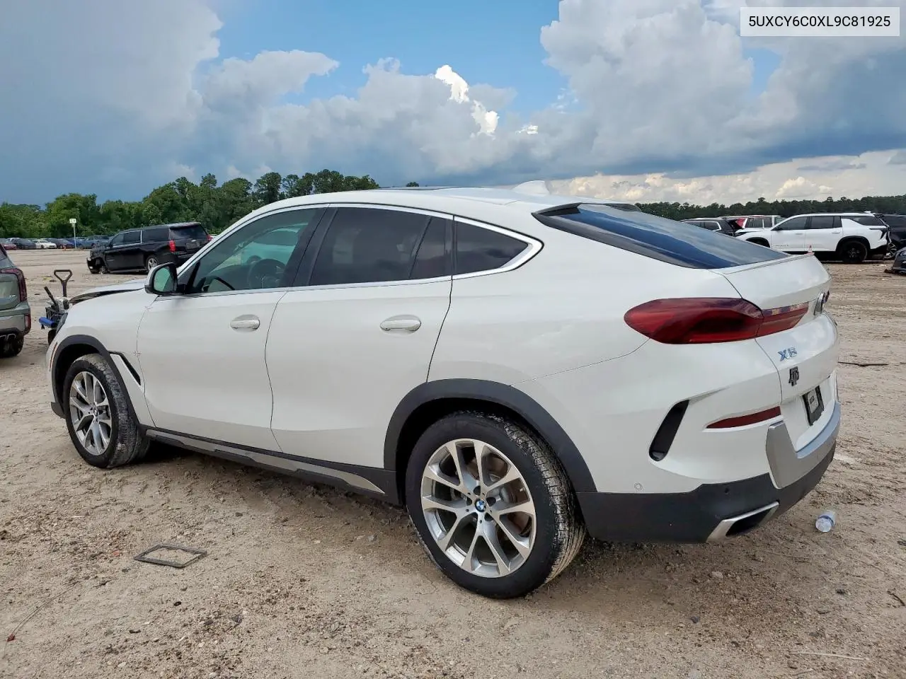 2020 BMW X6 xDrive40I VIN: 5UXCY6C0XL9C81925 Lot: 61986185