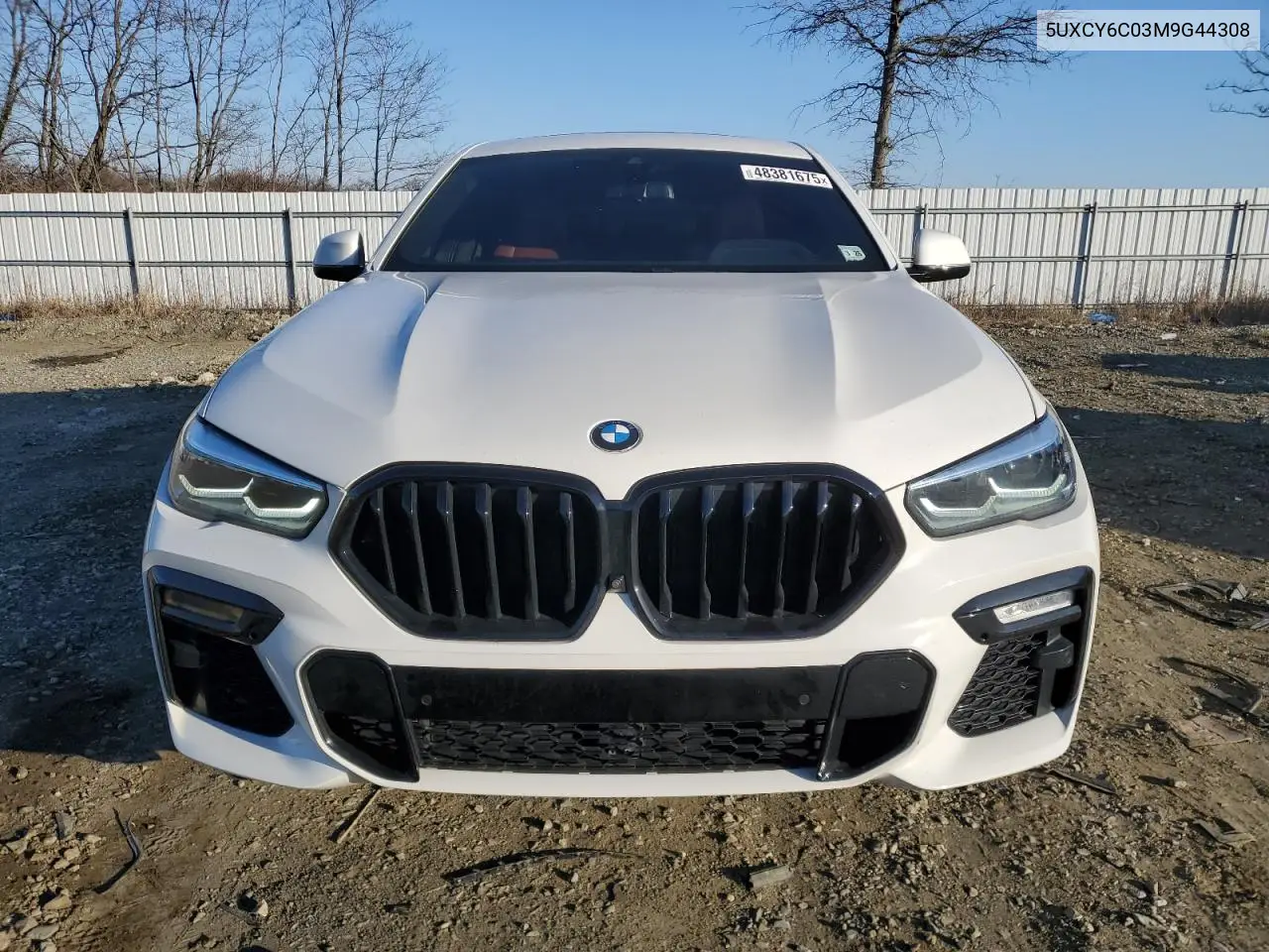 2021 BMW X6 xDrive40I VIN: 5UXCY6C03M9G44308 Lot: 48381675