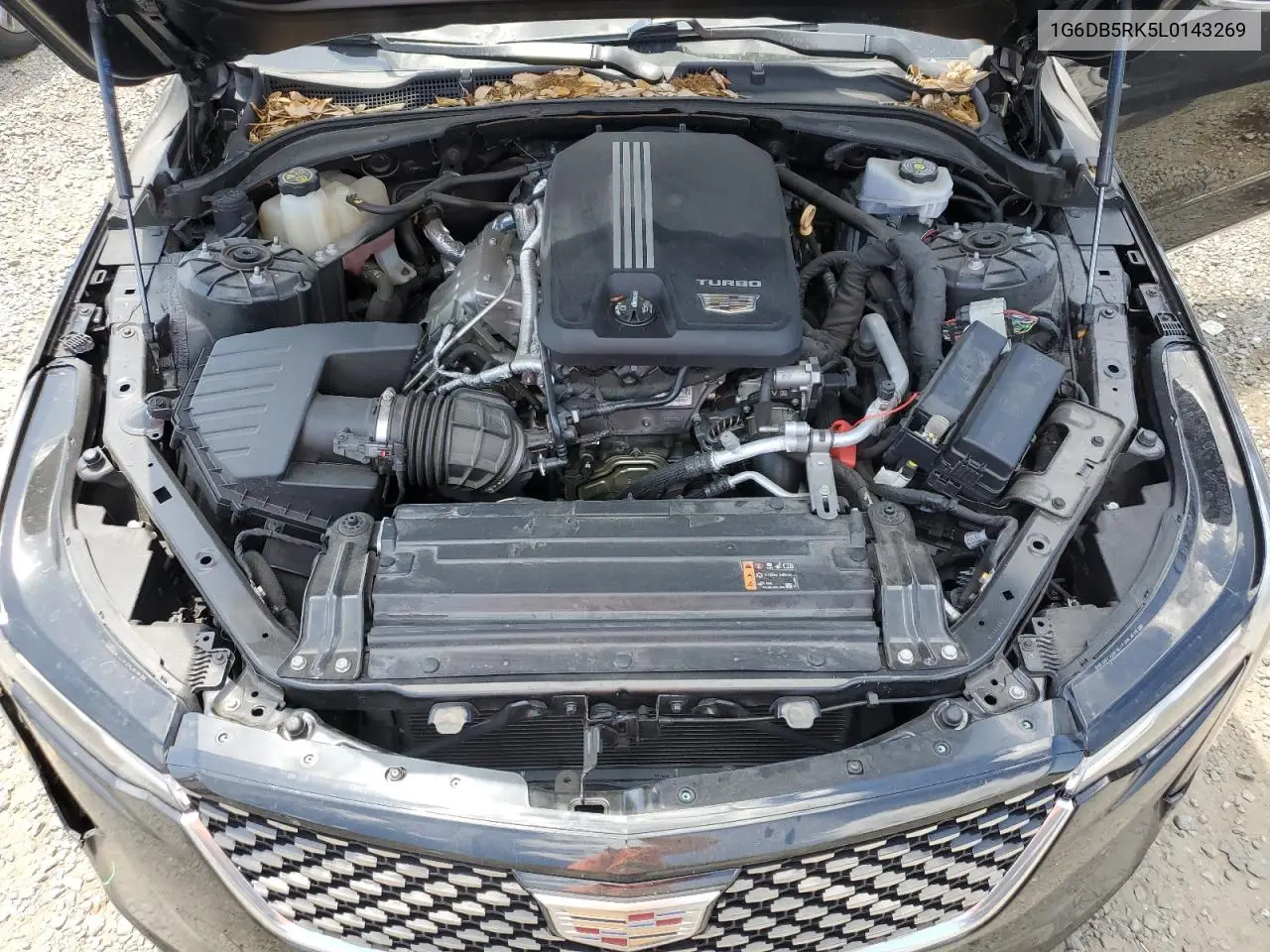 2020 Cadillac Ct4 Premium Luxury VIN: 1G6DB5RK5L0143269 Lot: 55624675