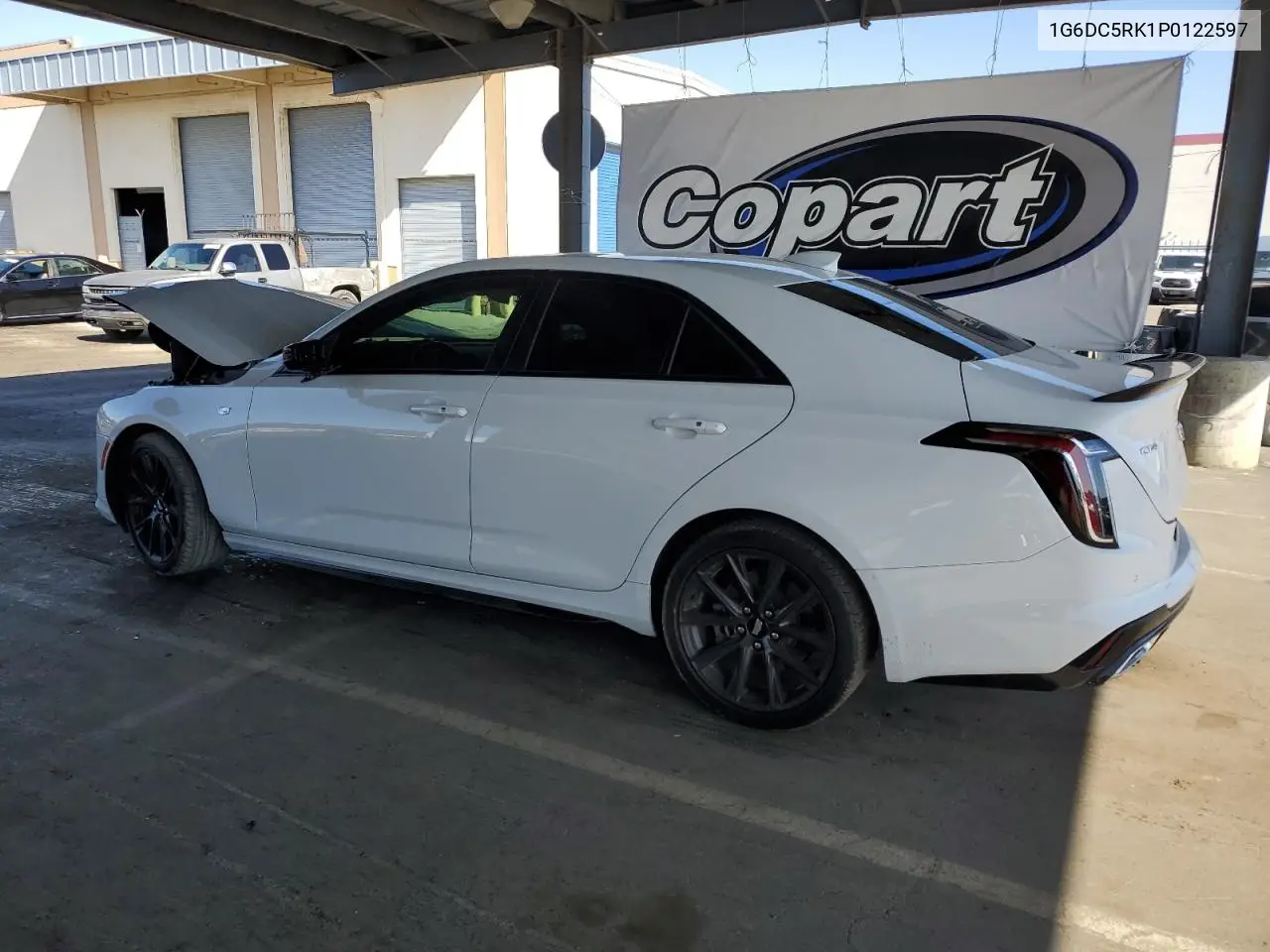 2023 Cadillac Ct4 Sport VIN: 1G6DC5RK1P0122597 Lot: 56983495