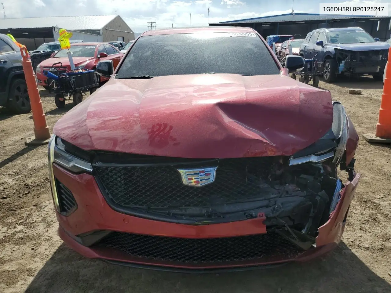 2023 Cadillac Ct4-V VIN: 1G6DH5RL8P0125247 Lot: 60690855