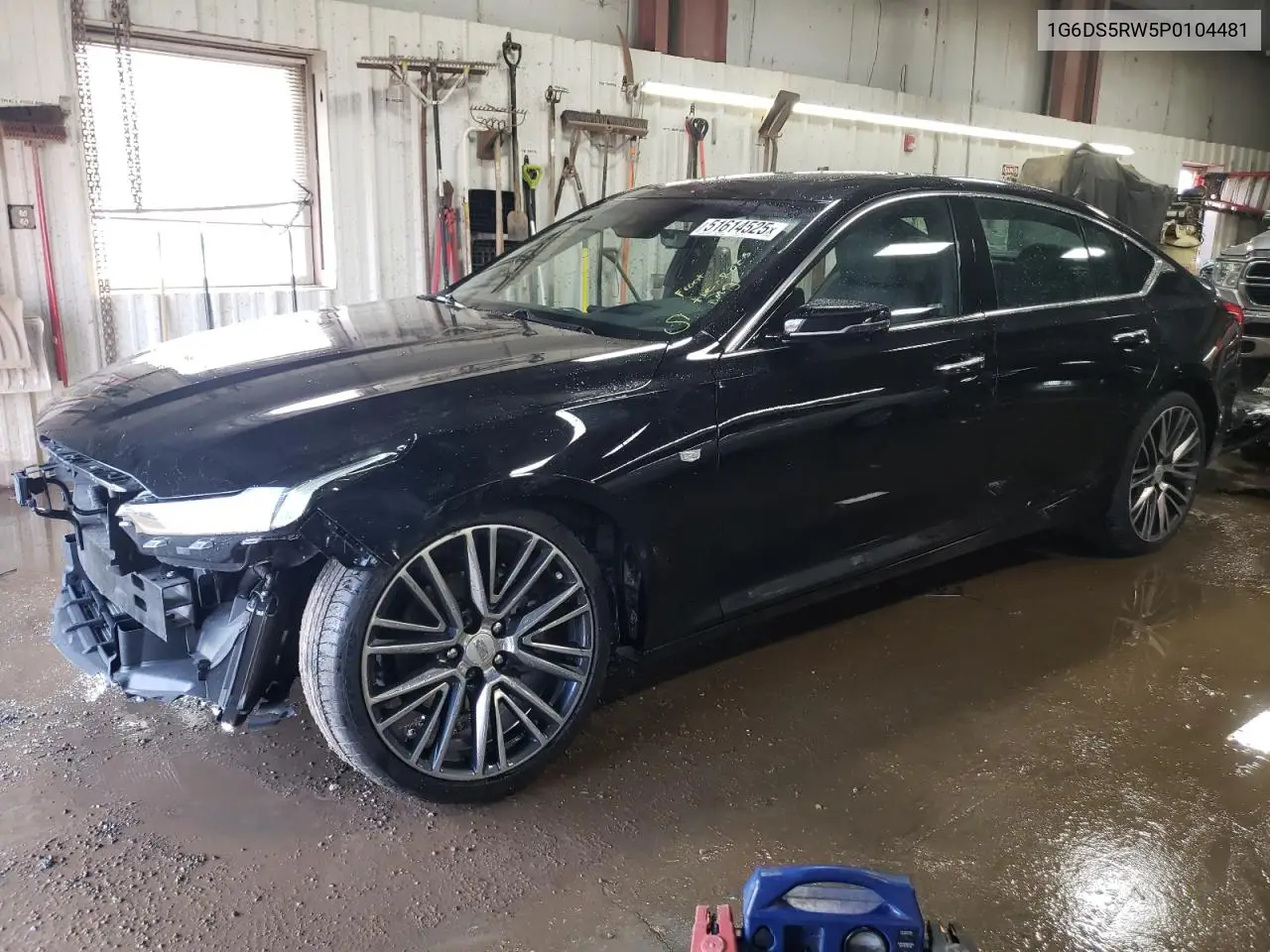 2023 Cadillac Ct5 Premium Luxury VIN: 1G6DS5RW5P0104481 Lot: 51614525