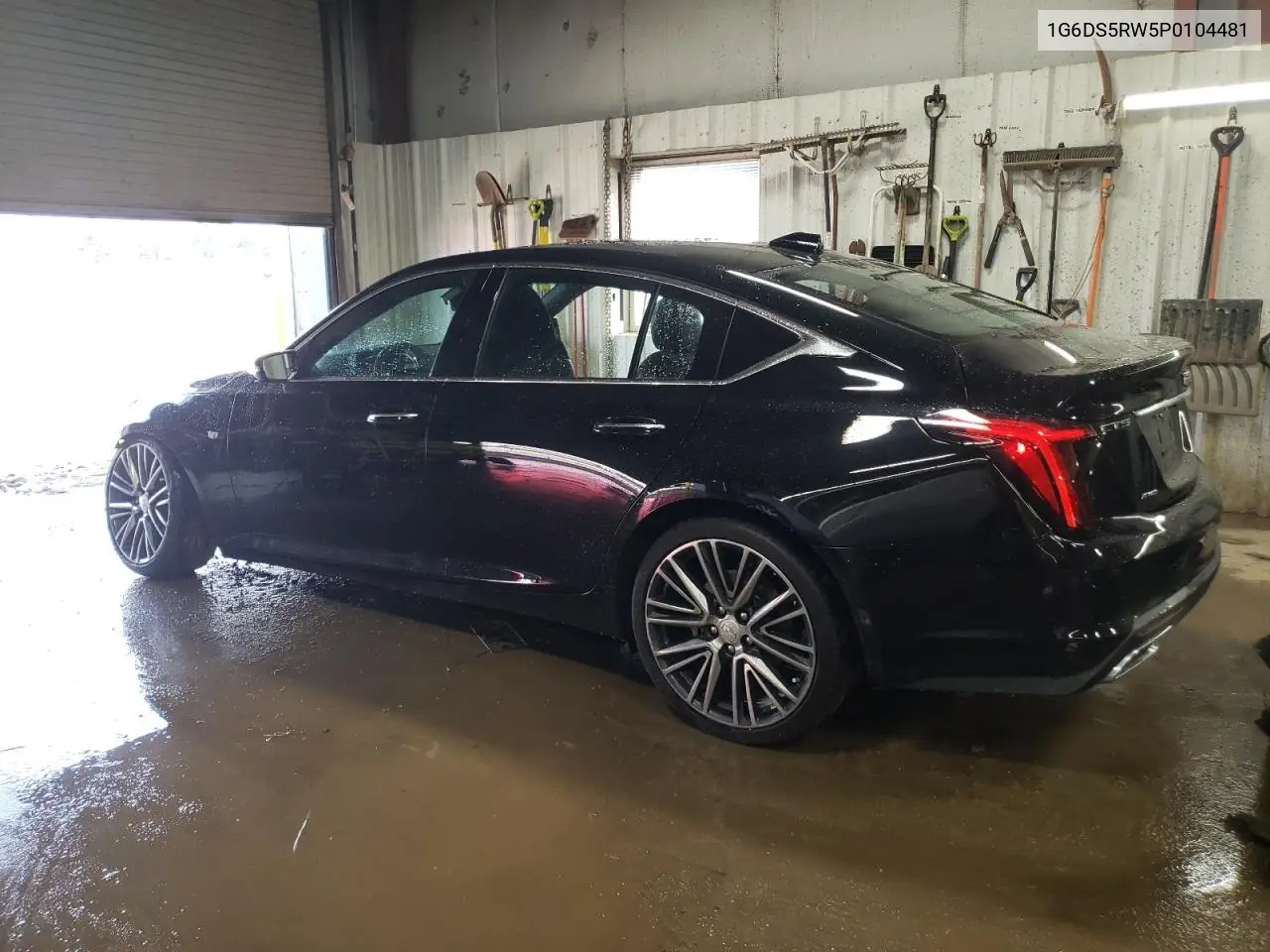 2023 Cadillac Ct5 Premium Luxury VIN: 1G6DS5RW5P0104481 Lot: 51614525