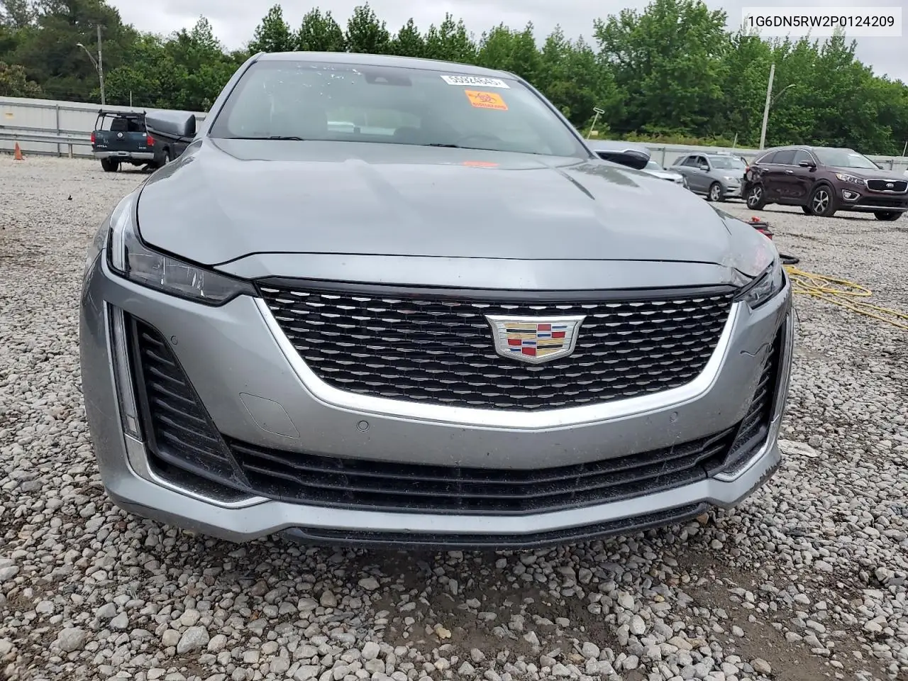 2023 Cadillac Ct5 Premium Luxury VIN: 1G6DN5RW2P0124209 Lot: 55924645