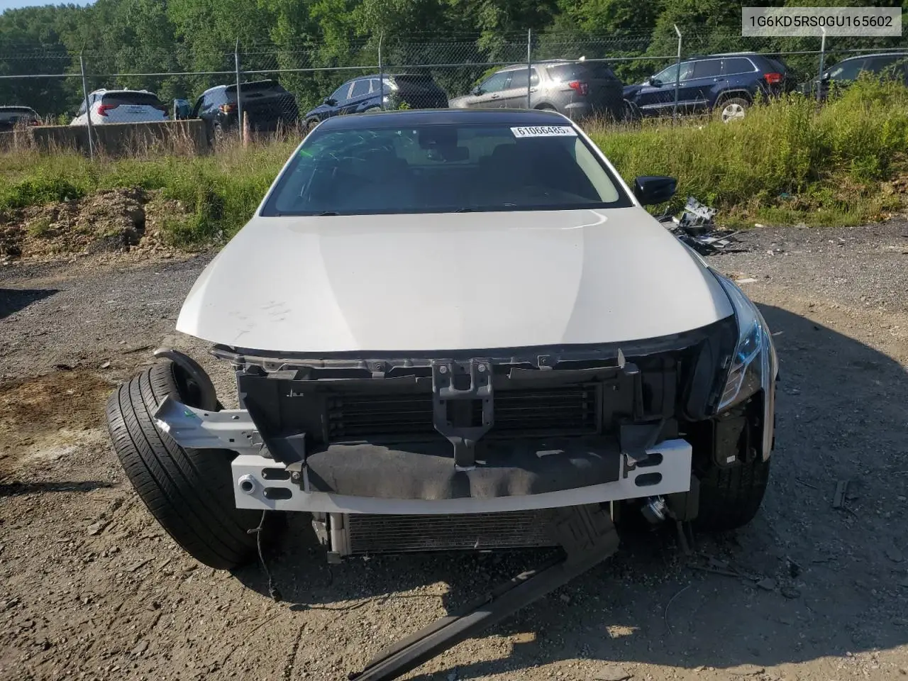 2016 Cadillac Ct6 Luxury VIN: 1G6KD5RS0GU165602 Lot: 61066485