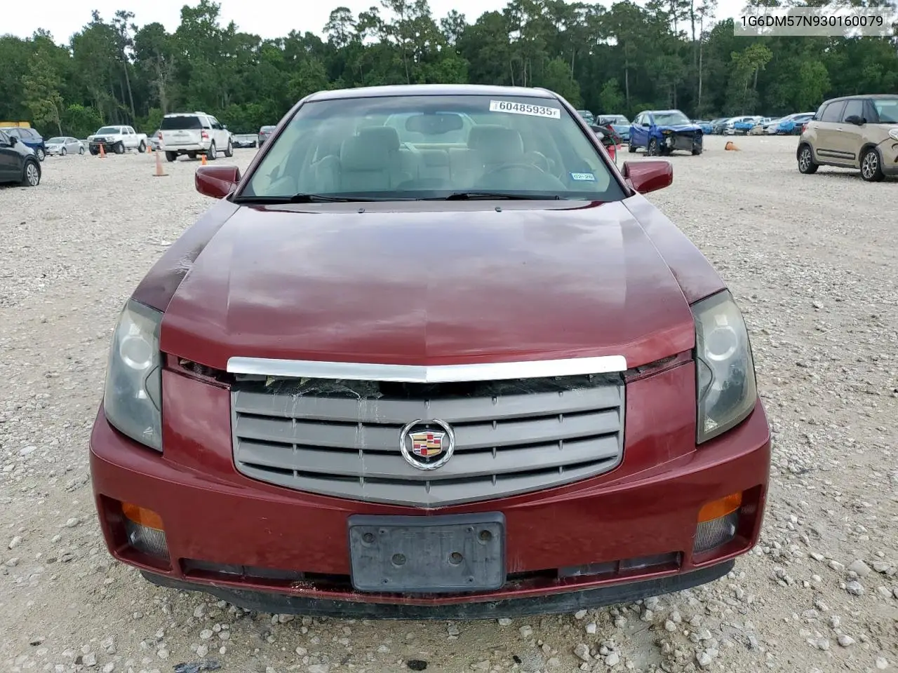 2003 Cadillac Cts VIN: 1G6DM57N930160079 Lot: 60485935
