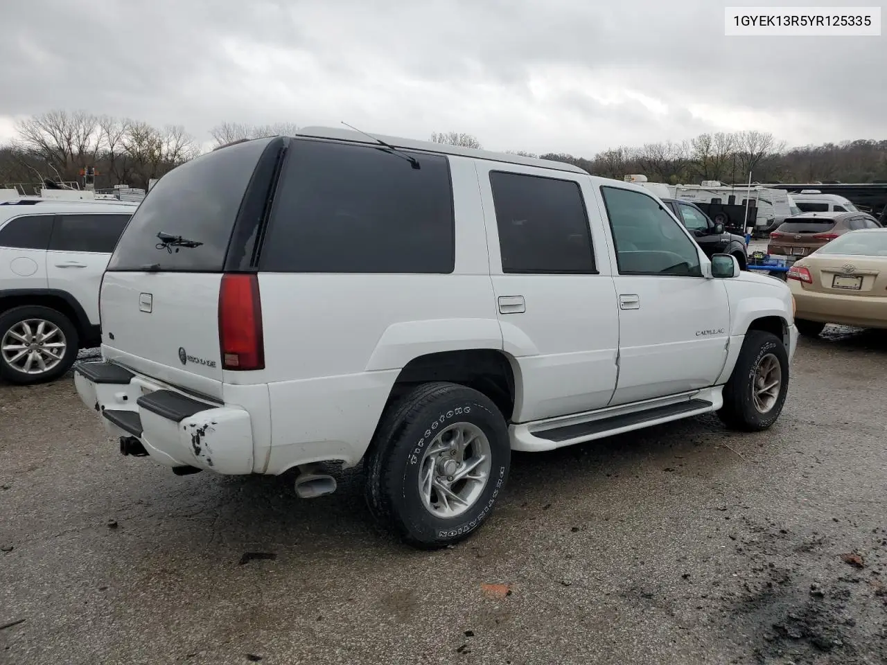 2000 Cadillac Escalade VIN: 1GYEK13R5YR125335 Lot: 80665744