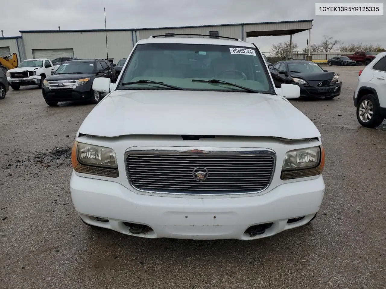 2000 Cadillac Escalade VIN: 1GYEK13R5YR125335 Lot: 80665744