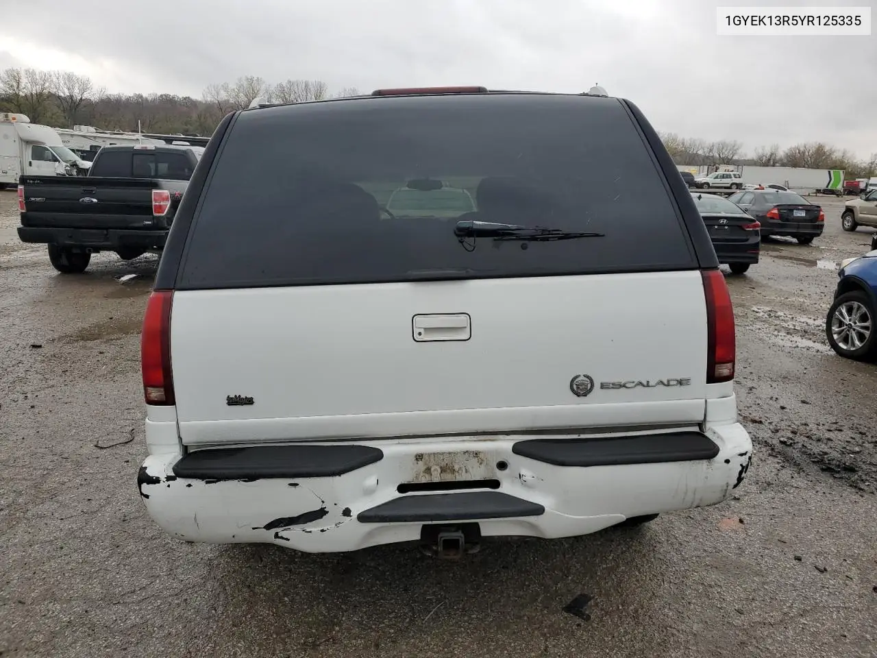2000 Cadillac Escalade VIN: 1GYEK13R5YR125335 Lot: 80665744
