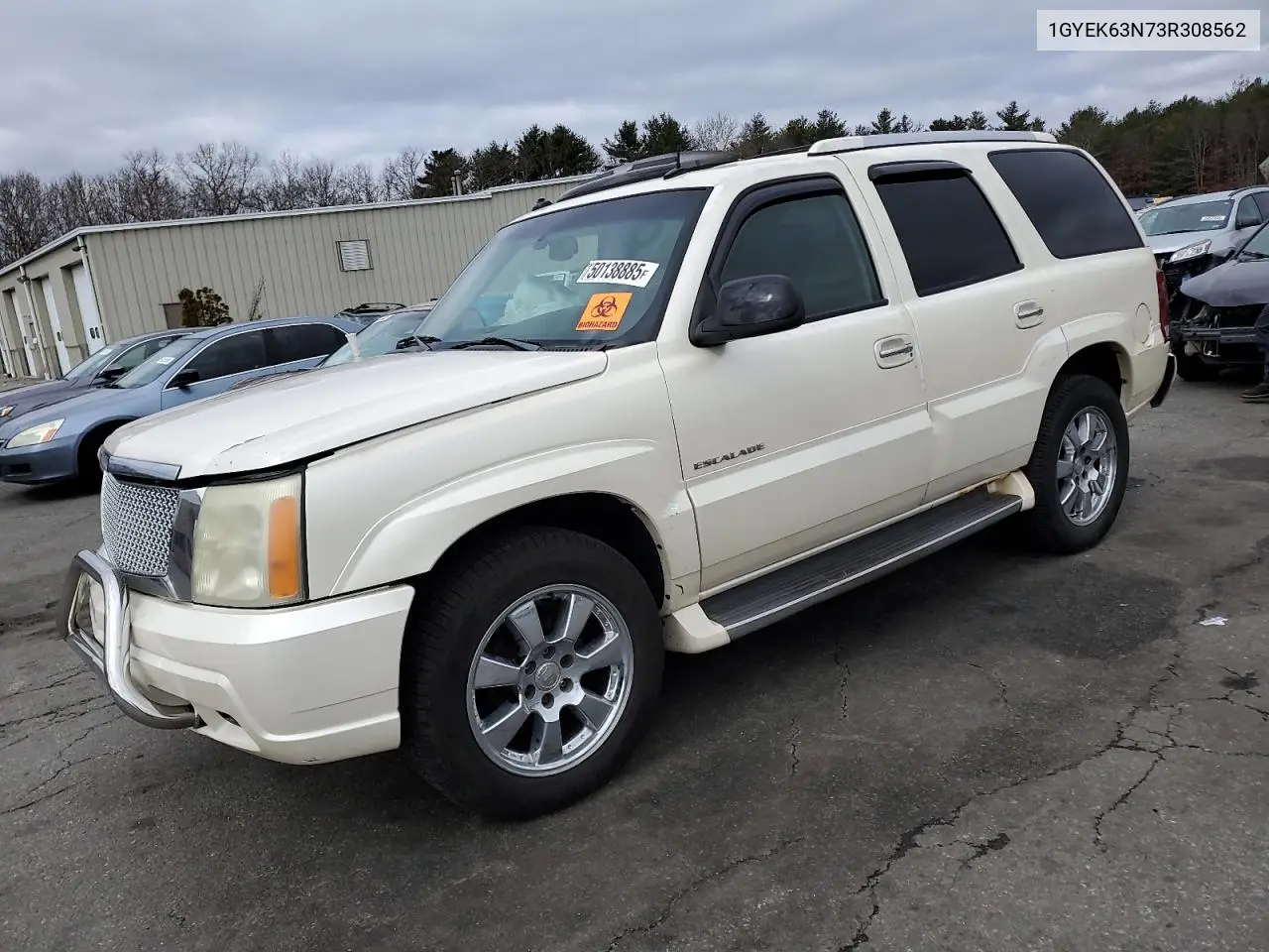 2003 Cadillac Escalade Luxury VIN: 1GYEK63N73R308562 Lot: 50138885
