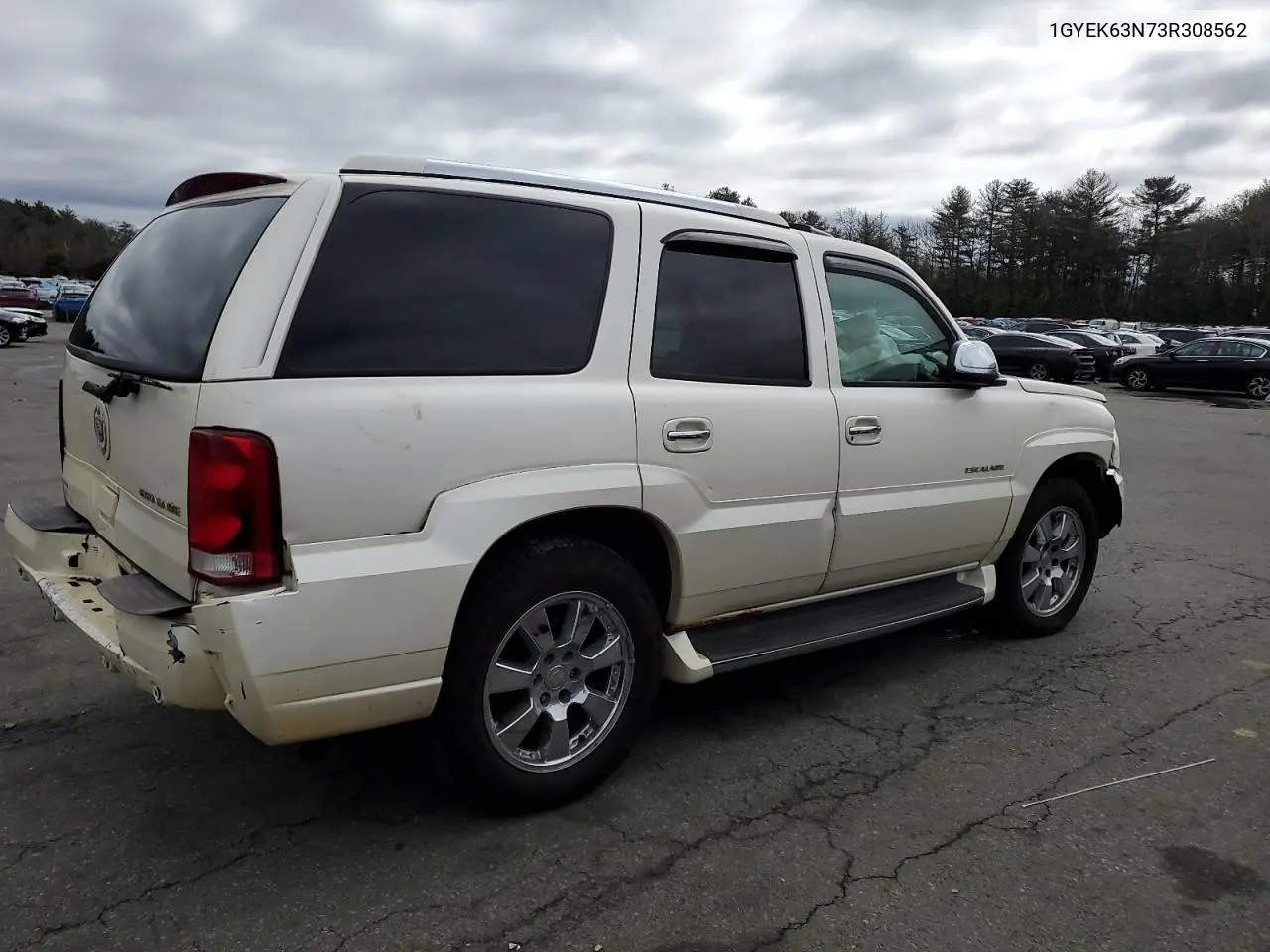 2003 Cadillac Escalade Luxury VIN: 1GYEK63N73R308562 Lot: 50138885