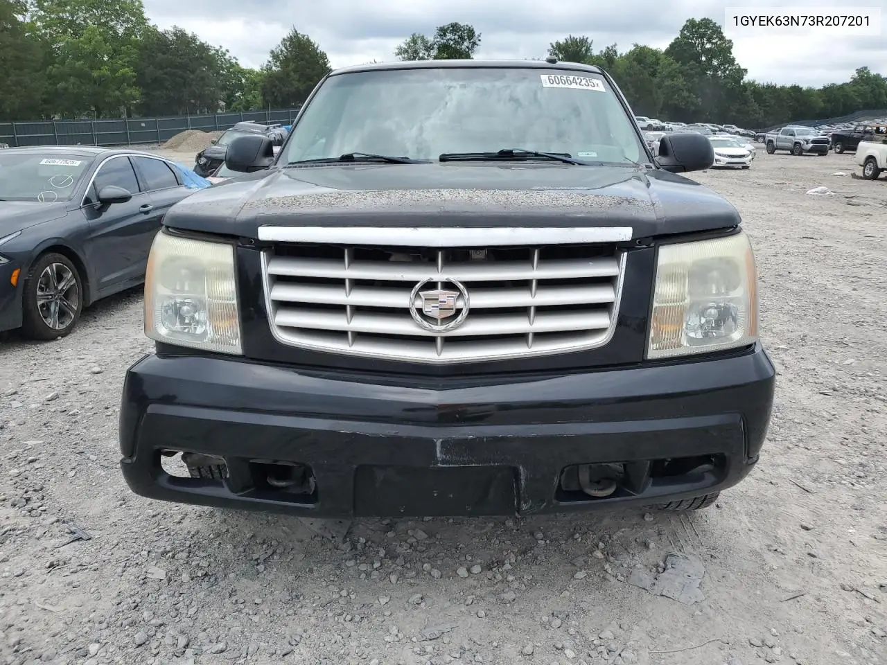 2003 Cadillac Escalade Luxury VIN: 1GYEK63N73R207201 Lot: 60664235