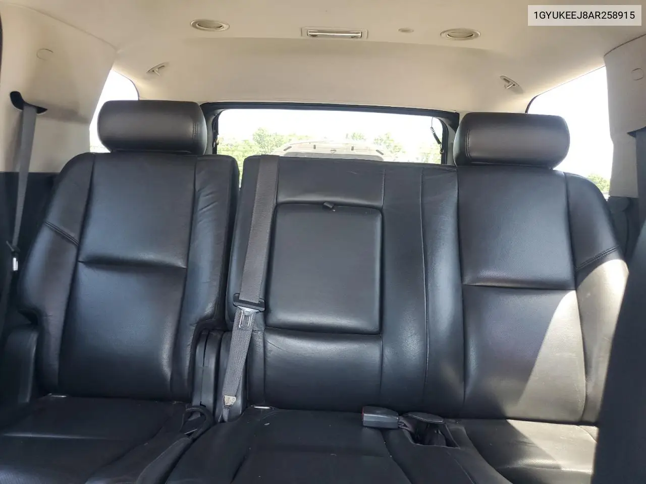2010 Cadillac Escalade Hybrid VIN: 1GYUKEEJ8AR258915 Lot: 60908475