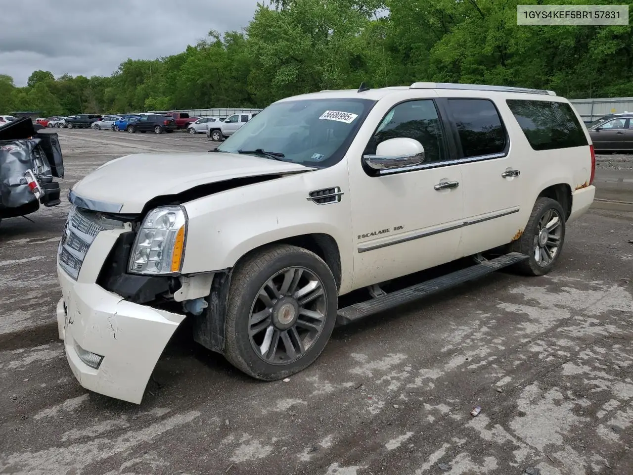 2011 Cadillac Escalade Esv Platinum VIN: 1GYS4KEF5BR157831 Lot: 56680995