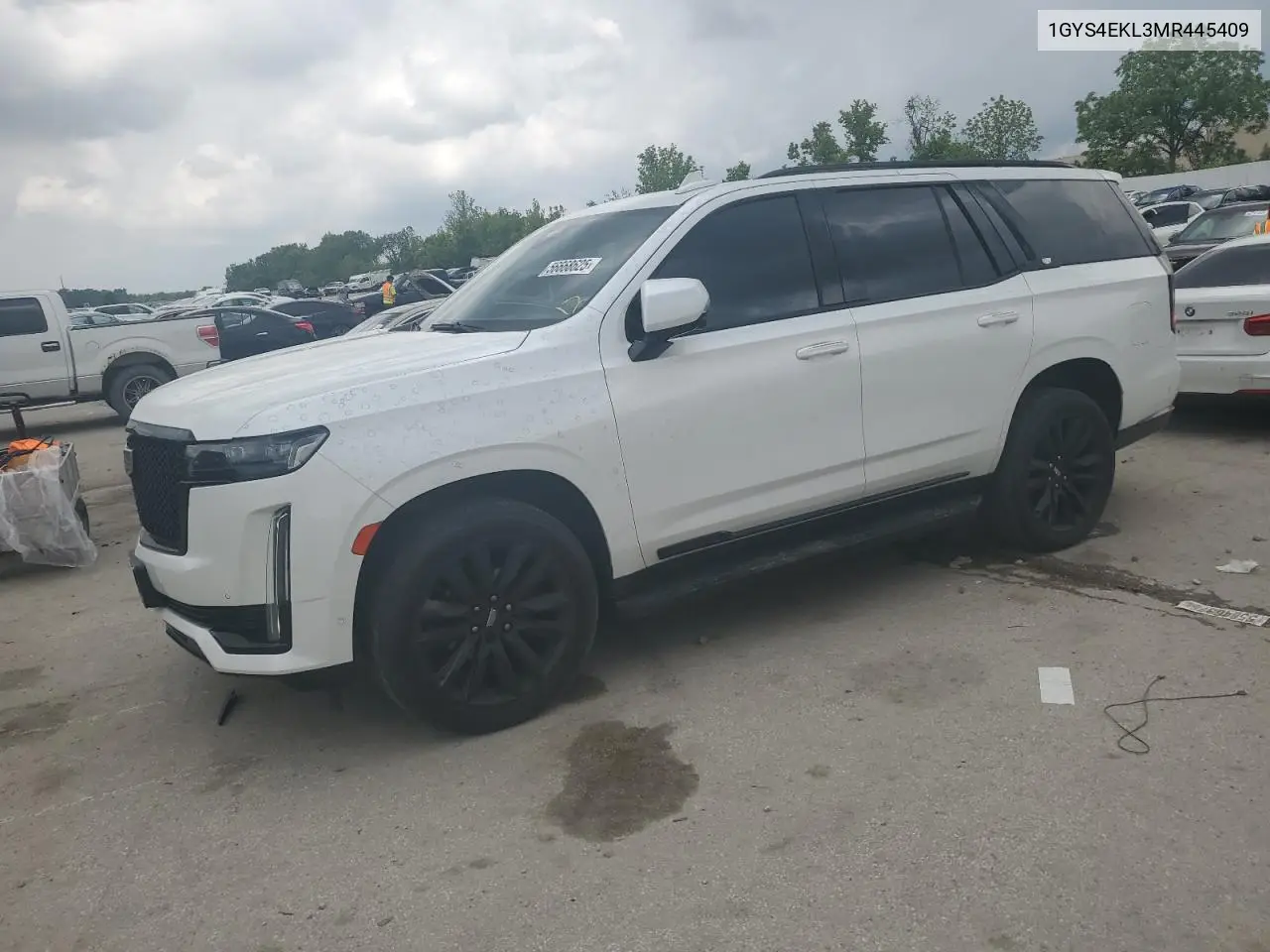 2021 Cadillac Escalade Sport VIN: 1GYS4EKL3MR445409 Lot: 56668625