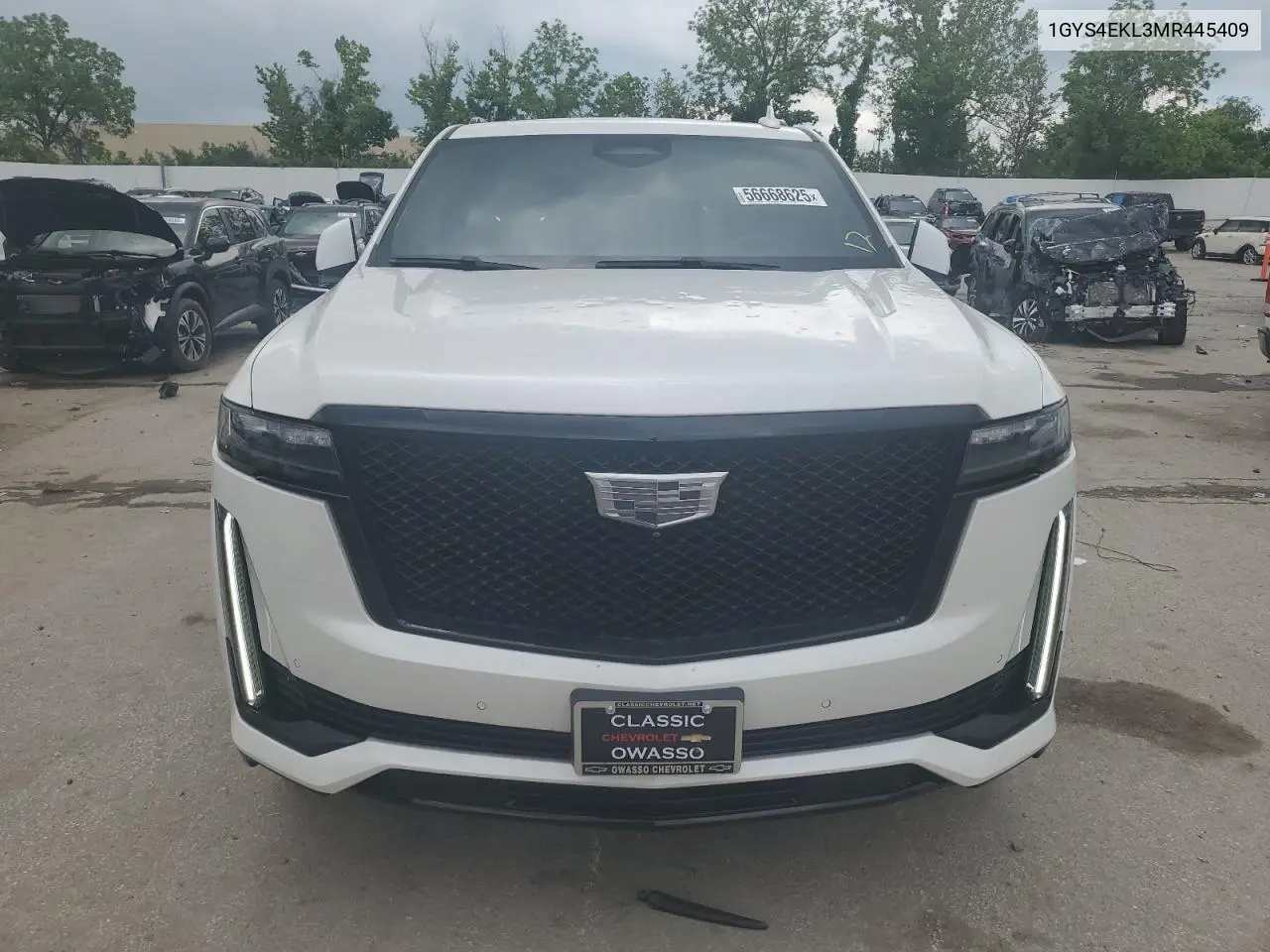 2021 Cadillac Escalade Sport VIN: 1GYS4EKL3MR445409 Lot: 56668625