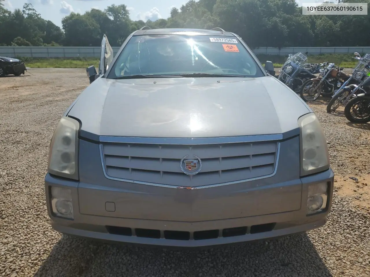 2006 Cadillac Srx VIN: 1GYEE637060190615 Lot: 58972585
