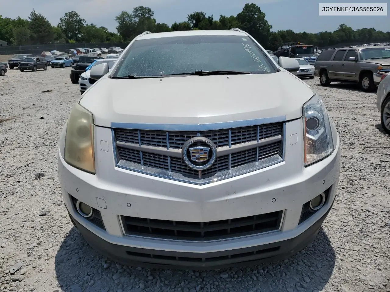 2010 Cadillac Srx Premium Collection VIN: 3GYFNKE43AS565026 Lot: 62680945