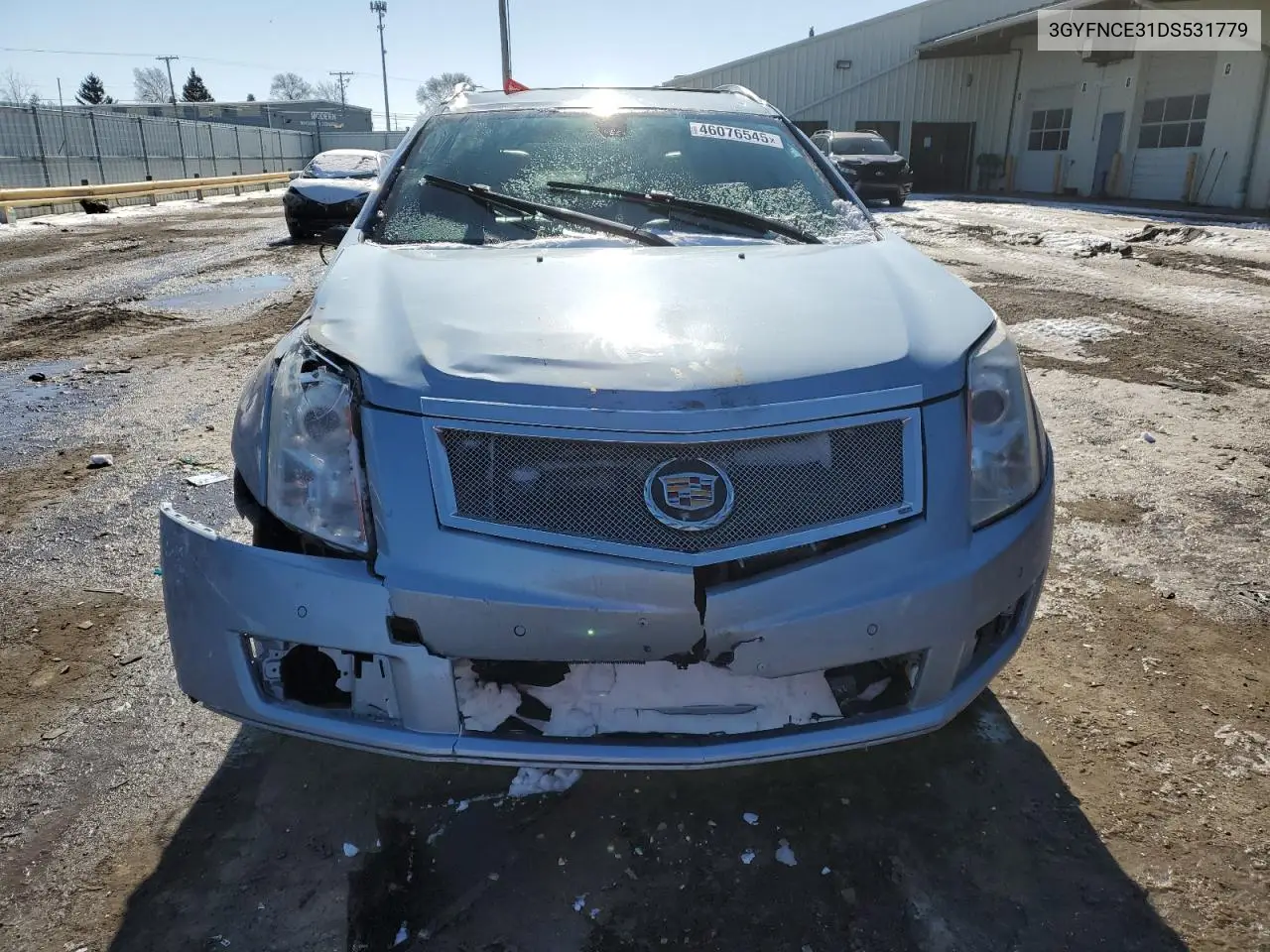 2013 Cadillac Srx Luxury Collection VIN: 3GYFNCE31DS531779 Lot: 46076545