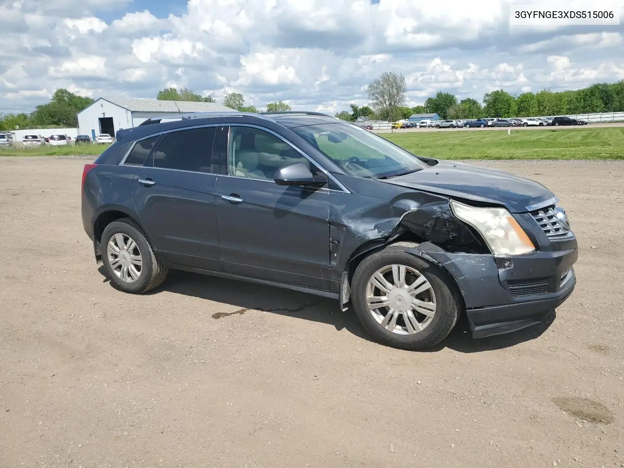 2013 Cadillac Srx Luxury Collection VIN: 3GYFNGE3XDS515006 Lot: 57033175