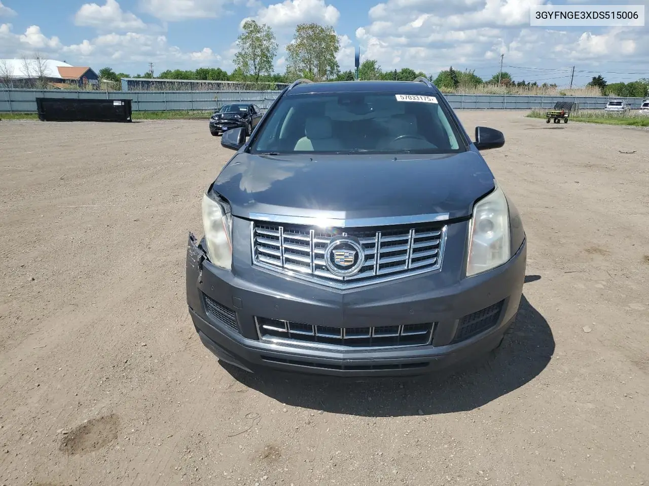 2013 Cadillac Srx Luxury Collection VIN: 3GYFNGE3XDS515006 Lot: 57033175