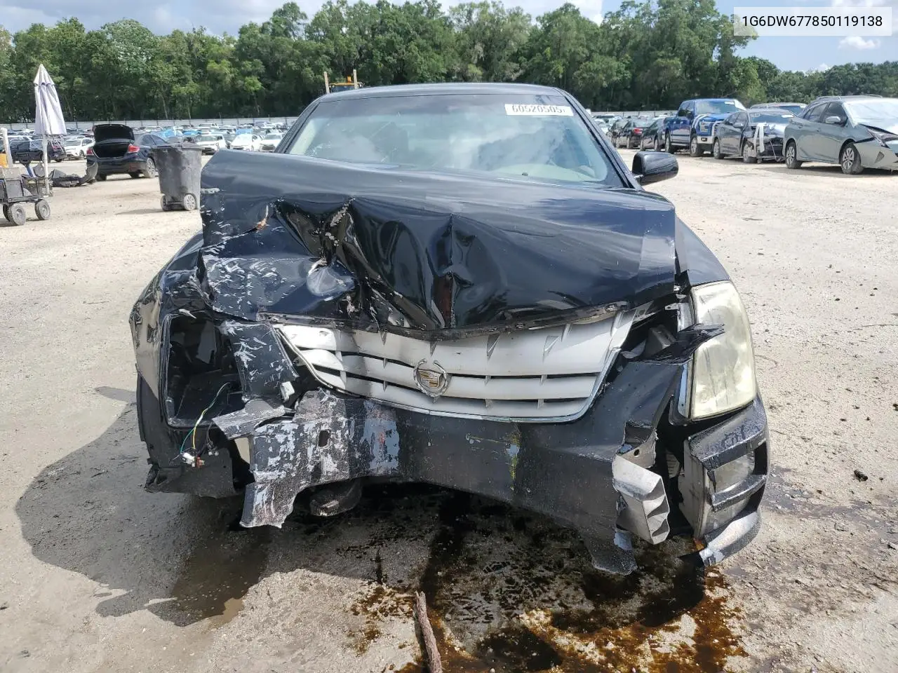 2005 Cadillac Sts VIN: 1G6DW677850119138 Lot: 60520505