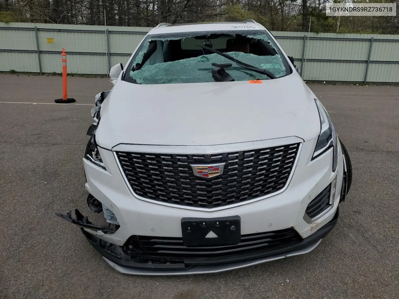 2024 Cadillac Xt5 Premium Luxury VIN: 1GYKNDRS9RZ736718 Lot: 56117375