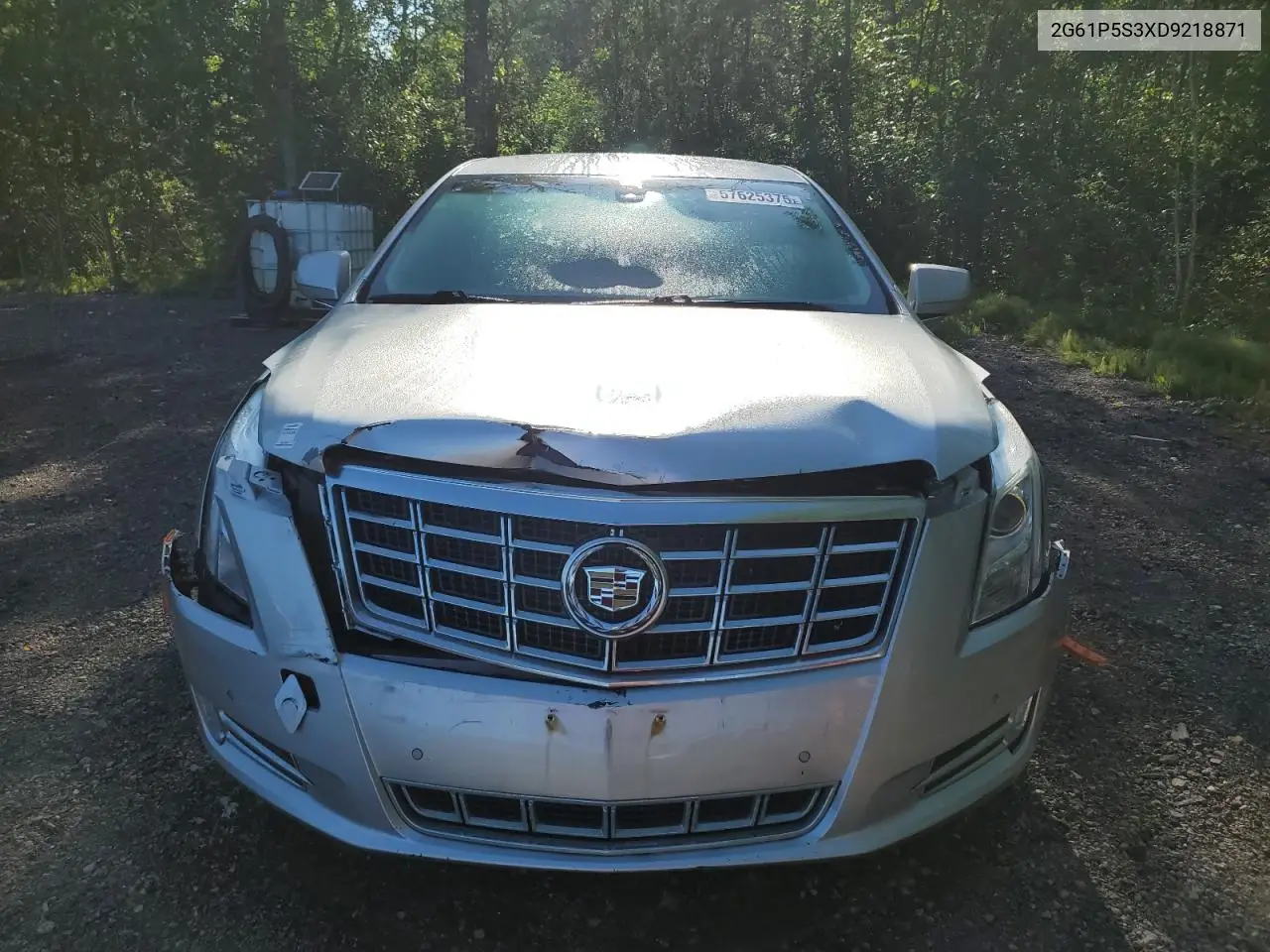 2013 Cadillac Xts Luxury Collection VIN: 2G61P5S3XD9218871 Lot: 57625375