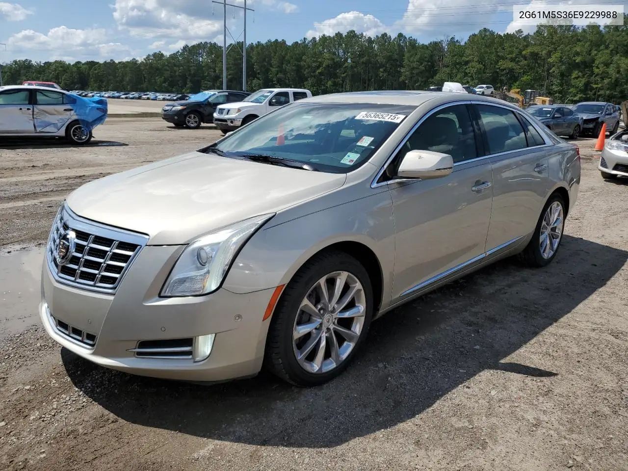 2014 Cadillac Xts Luxury Collection VIN: 2G61M5S36E9229988 Lot: 56365215