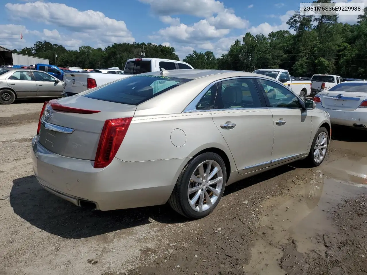 2014 Cadillac Xts Luxury Collection VIN: 2G61M5S36E9229988 Lot: 56365215