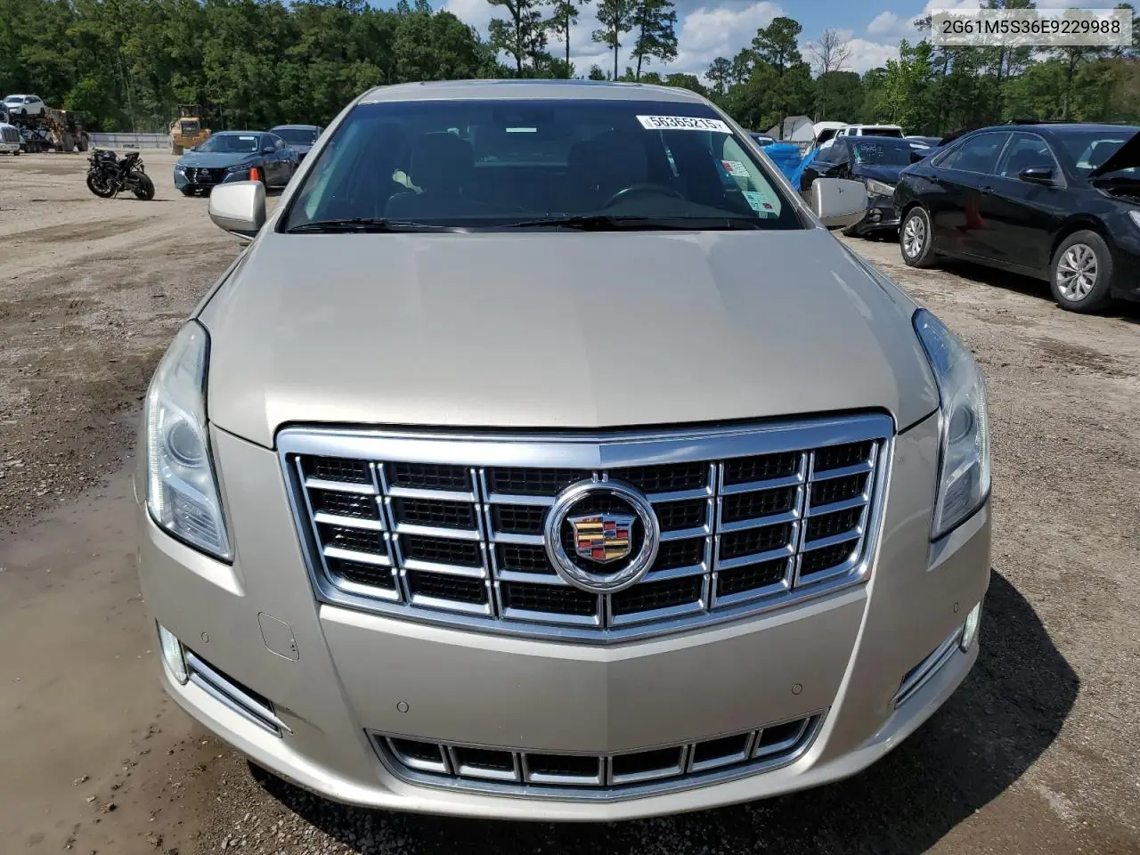 2014 Cadillac Xts Luxury Collection VIN: 2G61M5S36E9229988 Lot: 56365215