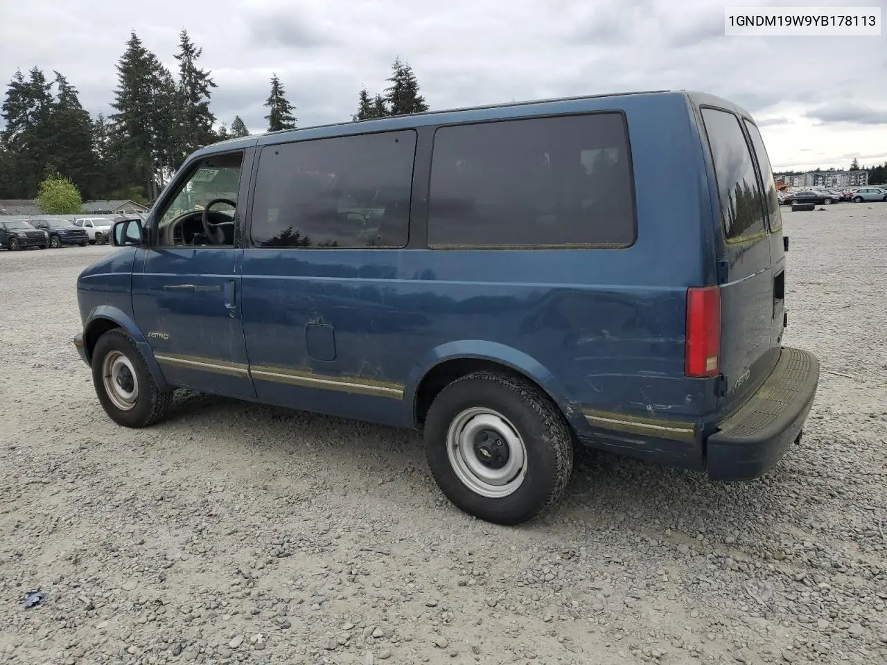 2000 Chevrolet Astro VIN: 1GNDM19W9YB178113 Lot: 54707915