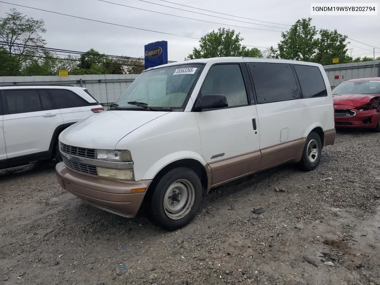 2000 Chevrolet Astro VIN: 1GNDM19W5YB202794 Lot: 55563265