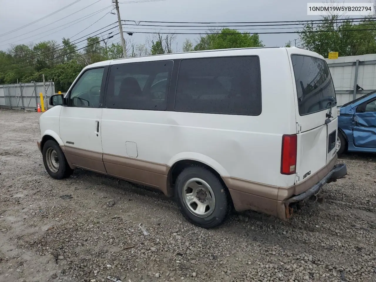 2000 Chevrolet Astro VIN: 1GNDM19W5YB202794 Lot: 55563265